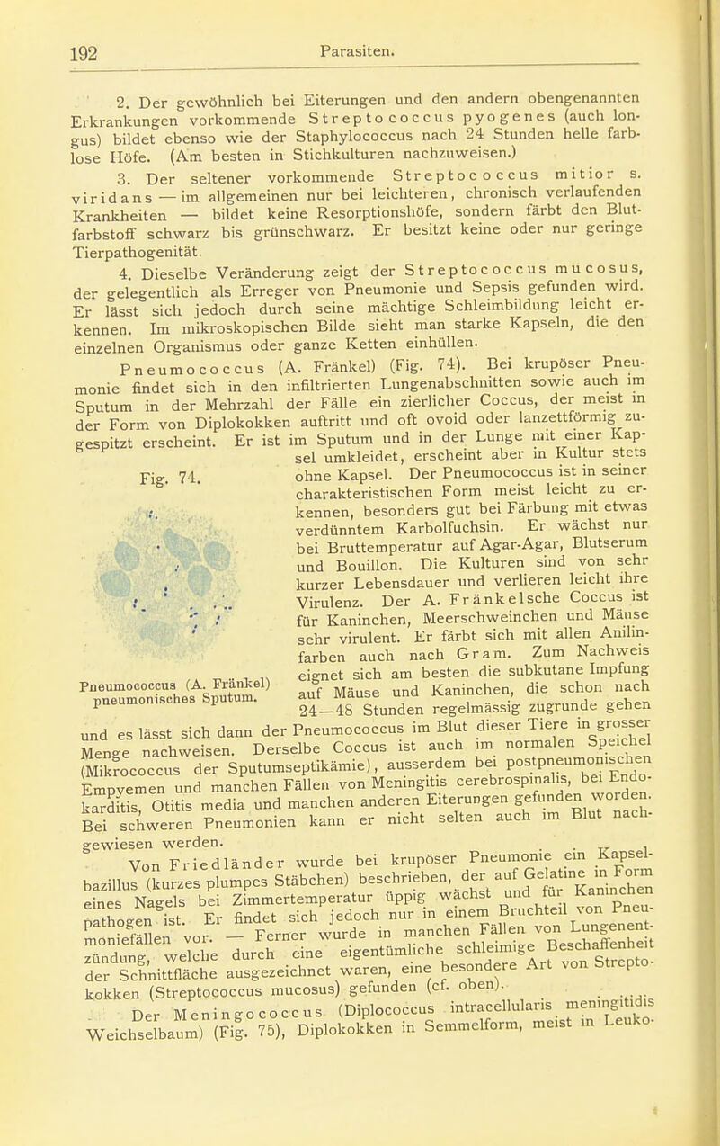 2. Der gewöhnlich bei Eiterungen und den andern obengenannten Erkrankungen vorkommende Streptococcus pyogenes (auch lon- gus) bildet ebenso wie der Staphylococcus nach 24 Stunden helle farb- lose Höfe. (Am besten in Stichkulturen nachzuweisen.) 3. Der seltener vorkommende Streptococcus mitior s. vir id ans—im allgemeinen nur bei leichteren, chronisch verlaufenden Krankheiten — bildet keine Resorptionshofe, sondern färbt den Blut- farbstoff schwarz bis grünschwarz. Er besitzt keine oder nur geringe Tierpathogenität. 4. Dieselbe Veränderung zeigt der Streptococcus mucosus, der gelegentlich als Erreger von Pneumonie und Sepsis gefunden wird. Er lässt sich jedoch durch seine mächtige Schleimbildung leicht er- kennen. Im mikroskopischen Bilde sieht man starke Kapseln, die den einzelnen Organismus oder ganze Ketten einhüllen. Pneumococcus (A. Frankel) (Fig. 74). Bei krupöser Pneu- monie findet sich in den infiltrierten Lungenabschmtten sowie auch im Sputum in der Mehrzahl der Fälle ein zierlicher Coccus, der meist m der Form von Diplokokken auftritt und oft ovoid oder lanzettförmig zu- gespitzt erscheint. Er ist im Sputum und in der Lunge rait einer Kap- ^ ^ sei umkleidet, erscheint aber in Kultur stets Yig. 74. ohne Kapsel. Der Pneumococcus ist in seiner charakteristischen Form meist leicht zu er- kennen, besonders gut bei Färbung mit etwas verdünntem Karbolfuchsin. Er wächst nur bei Bruttemperatur auf Agar-Agar, Blutserum und Bouillon. Die Kulturen sind von sehr j\' , kurzer Lebensdauer und verHeren leicht ihre • ■ . Virulenz. Der A. FränkeIsche Coccus ist / für Kaninchen, Meerschweinchen und Mäuse sehr virulent. Er färbt sich mit allen Anilin- farben auch nach Gram. Zum Nachweis . , eignet sich am besten die subkutane Impfung Pneumococma (A. Frankel) & Kaninchen, die schon nach pneumonisches Sputum. ^^'_^8^^^^„den regelmässig zugrunde gehen und es lässt sich dann der Pneumococcus im Blut dieser Tiere m grosse>- Menge nachweisen. Derselbe Coccus ist auch im normalen Speichel likfococcus der Sputumseptikämie), ausserdem bei postpneumonischen Empyemen und manchen Fällen von Meningitis cerebrospinalis, bei Endo- kard^ Otitis media und manchen anderen Eiterungen gefunden worden. Bei schweren Pneumonien kann er nicht selten auch im Blut nach- gewiesen werden. • ■ tr i Von Friedländer wurde bei krupöser Pneumonie em Kapsel- bazillul (kurz« plumpes Stäbchen) beschrieben, der auf GdaUne in Form eines Nagels bei Zimmertemperatur üppig wachst und fui J<-^n>ncnen natho-en ist Er findet sich jedoch nur in emem Bruchteil von Pneu- ^ fäLn vor - Ferner wurde in manchen Fällen von Lungenent- SuÄ wel he durch eine eigentümliche schleimige Beschaffenheit der Schnittfläche ausgezeichnet waren eine besondere Art von Strepto- kokken (Streptococcus mucosus) gefunden (ct. oben). _ Der Meningococcus (Diplococcus intracellularis memngit.dis Weiclfselbal) (Fi|. 75), Diplokokken in Semmelform, meist m Leuko-