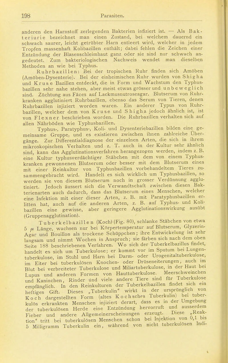 anderen den Harnstoff zerlegenden Bakterien infiziert ist. — Als Bak- teriurie bezeichnet man einen Zustand, bei welchem dauernd ein schwach saurer, leicht getrübter Harn entleert wird, welcher in jedem Tropfen massenhaft Kolibazillen enthält; dabei fehlen die Zeichen einer Entzündung der Blasenschleimhaut ganz oder sie sind nur schwach an- gedeutet. Zum bakteriologischen Nachweis wendet man dieselben Methoden an wie bei Typhus. Ruhrbazillen: Bei der tropischen Ruhr finden sich Amöben (Amöben-Dysenterie). Bei der einheimischen Ruhr wurden von Shigha und Kruse Bazillen entdeckt, die in Form und Wachstum den Typhus- bazillen sehr nahe stehen, aber meist etwas grösser und unbeweglich sind. Züchtung aus Fäces auf Lackmusnutroseagar. Blutserum von Ruhr- kranken agglutiniert Ruhrbazillen, ebenso das Serum von Tieren, denen Ruhrbazillen injiziert worden waren. Ein anderer Typus von Ruhr- bazillen, welcher dem von Kruse und Shigha jedoch ähnlich ist, ist von Flexner beschrieben worden. Die Ruhrbazillen verhalten sich auf allen Nährböden wie Typhusbazillen. Typhus-, Paratyphus-, Koli- und Dysenteriebazillen bilden eine ge- meinsame Gruppe, und es existieren zwischen ihnen zahlreiche Über- gänge. Zur Differentialdiagnose der einzelnen Arten, die sich in ihrem mikroskopischen Verhalten und z. T. auch in der Kultur sehr ähnlich sind, kann das Agglutinationsverfahren herangezogen werden, indem z. B. eine Kultur typhusverdächtiger Stäbchen mit dem von einem Typhus- kranken gewonnenen Blutserum oder besser mit dem Blutserum eines mit einer Reinkultur von Typhusbazillen vorbehandeltem Tieres zu- sammengebracht wird. Handelt es sich wirklich um Typhusbazillen, so werden sie von diesem Blutserum noch in grosser Verdünnung agglu- tiniert. Jedoch äussert sich die Verwandtschaft zwischen diesen Bak- terienarten auch dadurch, dass das Blutserum eines Menschen, welcher eine Infektion mit einer dieser Arten, z. B. mit Paratyphusbazillen er- litten hat, auch auf die anderen Arten, z. B. auf Typhus- und Koli- baziUen eine gewisse, aber geringere Agglutinationswirkung ausübt (Gruppenagglutination). Tuberkelbazillen (Koch) (Fig. 80), schlanke Stäbchen von etwa 5 Lv Länge, wachsen nur bei Körpertemperatur auf Blutserum, Glyzerin- Agar und Bouillon als trockene Schüppchen; ihre Entwickelung ist sehr langsam und nimmt Wochen in Anspruch; sie färben sich nach dem oben Seite 188 beschriebenen Verfahren. Wo sich der Tuberkelbazillus findet, handelt es sich um Tuberkulose; er kommt vor im Sputum bei Lungen- tuberkulose, im Stuhl und Harn bei Darm- oder Urogenitaltuberkulose, im Eiter bei tuberkulösen Knochen- oder Drüseneiterungen, auch im Blut bei verbreiteter Tuberkulose und Miliartuberkulose, in der Haut bei Lupus und anderen Formen von Hauttuberkulose. Meerschweinchen und Kaninchen, Rinder und viele andere Tiere sind für Tuberkulose empfänglich. In den Reinkulturen der Tuberkelbazillen findet sich em heftiges Gift. Dieses „Tuberkulin wirkt in der ursprünglich von Koch dargestellten Form (altes Kochsches Tuberkulin) bei tuber- kulös erkrankten Menschen injiziert derart, dass es in der Umgebung der tuberkulösen Herde eine Entzündung hervorruft und ausserdem Fieber und andere Allgemeinerscheinungen erzeugt. Diese »Reak- tion tritt bei tuberkulösen Menschen schon bei Injektion von 0,1 bis 5 Milligramm Tuberkulin ein, während von nicht tuberkulösen Indi-