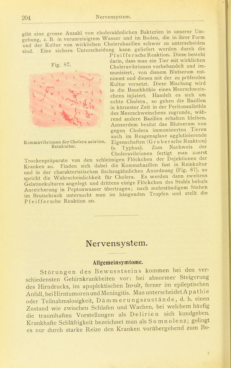 gibt eine grosse Anzahl von choleraähnlichen Bakterien in unserer Um- gebung, z. B. in verunreinigtem Wasser und im Boden, die in ihrer Form und der Kultur von wirklichen Cholerabazillen schwer zu unterscheiden sind. Eine sichere Unterscheidung kann gehefert werden durch die Pfeiffer sehe Reaktion. Diese besieht darin, dass man ein Tier mit wirklichen F'g- °'- Choleravibrionen vorbehandelt und im- ' , munisiert, von diesem Blutserum ent- V r nimmt und dieses mit der zu prüfenden ' ^ - 1 -V ) Kultur versetzt. Diese Mischung wird ■i^'^ V o < (. in die Bauchhöhle eines Meerschwein- / ^ \ chens injiziert. Handelt es sich um -^ 'IT^^^ echie Cholera, so gehen die Bazillen (  '^•>% in kürzester Zeit in der Peritonealhöhle ^ jt^ des Meerschweinchens zugrunde, wäh- 'T^ljt.S ^^ rend andere Bazillen erhalten bleiben. ♦vTV Ausserdem besitzt das Blutserum von gegen Cholera immunisierten Tieren auch im Reagensglase agglutinierende Kommavibrionen der Cholera asiatica. Eigenschaften (Grub ersehe Reaktion) Reinkultur. (g Typhus). Zum Nachweis der Choleravibrionen fertigt man zuerst Trockenpräparate von den schleimigen Flöckchen der Dejektionen der Kranken an. Finden sich dabei die Kommabazillen fast m Remkultur und in der charakteristischen fischzugähnhchen Anordnung (Fig. 87), so spricht die WahrscheinHchkeit für Cholera. Es werden dann zweitens Gelatinekulturen angelegt und drittens einige Flöckchen des Stuhls behufs Anreicherung in Peptonwasser übertragen; nach mehrstündigem Stehen im Brutschrank untersucht man im hängenden Tropfen und stellt die Pfeiffersche Reaktion an. Nervensystem. AUgemeinsyrntoine. Störungen des Bewusstseins kommen bei den ver- schiedensten Gehirnkrankheiten vor: bei abnormer Steigerung des Hirndrucks, im apoplektischen In?ult, ferner im epileptischen Anfall, bei Hirntumoren und Meningitis. Man unterscheidet Apathie oder Teilnahmslosigkeit, Dämmerungszustände,d. h. einen Zustand wie zwischen Schlafen und Wachen, bei welchem häufig die traumhaften Vorstellungen als Delirien sich kundgeben. Krankhafte Schläfrigkeit bezeichnet man als So mnolenz; gelingt es nur durch starke Reize den Kranken vorübergehend zum Be-