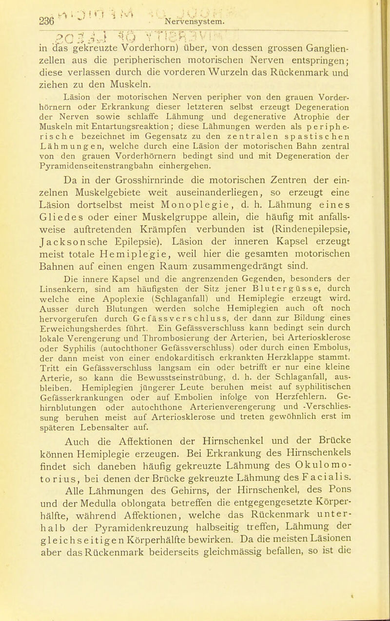 P[ryfJ7] ?[c.) VT!p.R3' in (das gekreuzte Vorderhorn) über, von dessen grossen Ganglien- zellen aus die peripherischen motorischen Nerven entspringen; diese verlassen durch die vorderen Wurzeln das Rückenmark und ziehen zu den Muskeln. Läsion der motorischen Nerven peripher von den grauen Vorder- hörnern oder Erkrankung dieser letzteren selbst erzeugt Degeneration der Nerven sowie schlaffe Lähmung und degenerative Atrophie der Muskeln mit Entartutigsreaktion; diese Lähmungen werden als periphe- rische bezeichnet im Gegensatz zu den zentralen spastischen Lähmungen, welche durch eine Läsion der motorischen Bahn zentral von den grauen Vorderhörnern bedingt sind und mit Degeneration der Pyramidenseitenstrangbahn einhergehen. Da in der Grosshirnrinde die motorischen Zentren der ein- zelnen Muskelgebiete weit auseinanderliegen, so erzeugt eine Läsion dortselbst meist Monoplegie, d. h. Lähmung eines Gliedes oder einer Muskelgruppe allein, die häufig mit anfalls- weise auftretenden Krämpfen verbunden ist (Rindenepilepsie, Jackson sehe Epilepsie). Läsion der inneren Kapsel erzeugt meist totale Hemiplegie, weil hier die gesamten motorischen Bahnen auf einen engen Raum zusammengedrängt sind. Die innere Kapsel und die angrenzenden Gegenden, besonders der Linsenkern, sind am häufigsten der Sitz jener Blutergüsse, durch welche eine Apoplexie (Schlaganfall) und Hemiplegie erzeugt wird. Ausser durch Blutungen werden solche Hemiplegien auch oft noch hervorgerufen durch Gefässverschluss, der dann zur Bildung eines Erweichungsherdes führt. Ein Gefässverschluss kann bedingt sein durch lokale Verengerung und Thrombosierung der Arterien, bei Arteriosklerose oder Syphilis (autochthoner Gefässverschluss) oder durch einen Embolus, der dann meist von einer endokarditisch erkrankten Herzklappe stammt. Tritt ein Gefässverschluss langsam ein oder betrifft er nur eine kleine Arterie, so kann die Bewusstseinstrübung, d. h. der Schlaganfall, aus- bleiben. Hemiplegien jüngerer Leute beruhen meist auf syphilitischen Gefässerkrankungen oder auf Embolien infolge von Herzfehlern. Ge- hirnblutungen oder autochthone Arterienverengerung und -Verschhes- sung beruhen meist auf Arteriosklerose und treten gewöhnlich erst im späteren Lebensalter auf. Auch die Afiektionen der Hirnschenkel und der Brücke können Hemiplegie erzeugen. Bei Erkrankung des Hirnschenkels findet sich daneben häufig gekreuzte Lähmung des Okulomo- t o r i u s, bei denen der Brücke gekreuzte Lähmung des Facialis. Alle Lähmungen des Gehirns, der Hirnschenkel, des Pons und der Medulla oblongata betreffen die entgegengesetzte Körper- hälfte, während Affektionen, welche das Rückenmark unter- halb der Pyramidenkreuzung halbseitig treffen, Lähmung der gleichseitigen Körperhälfte bewirken. Da die meisten Läsionen aber das Rückenmark beiderseits gleichmässig befallen, so ist die