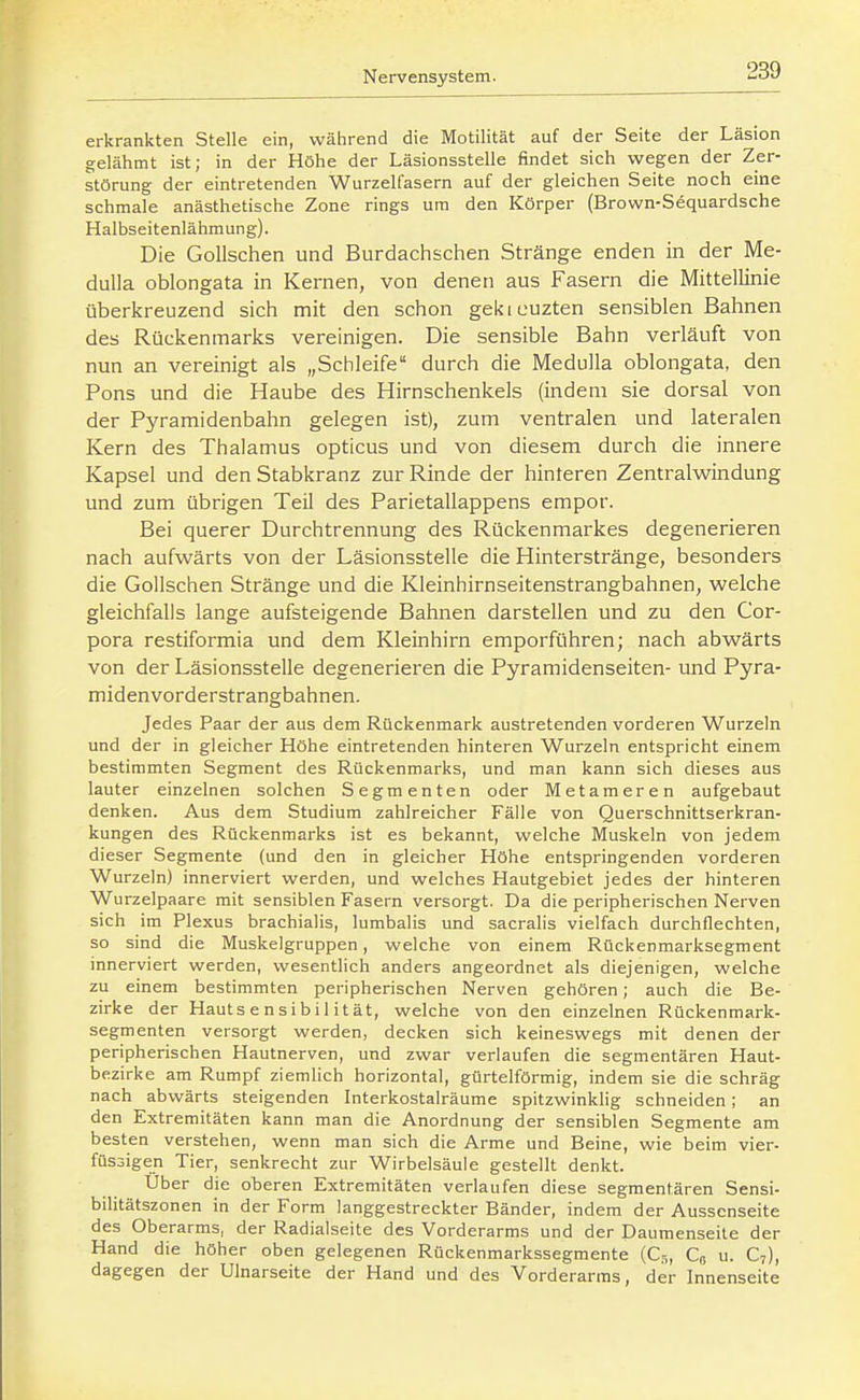 erkrankten Stelle ein, während die Motilität auf der Seite der Läsion gelähmt ist; in der Höhe der Läsionsstelle findet sich wegen der Zer- störung der eintretenden Wurzelfasern auf der gleichen Seite noch eine schmale anästhetische Zone rings um den Körper (Brown-Sequardsche Halbseitenlähmung). Die GoUschen und Burdachschen Stränge enden in der Me- dulia oblongata in Kernen, von denen aus Fasern die Mittellinie überkreuzend sich mit den schon gekieuzten sensiblen Bahnen des Rückenmarks vereinigen. Die sensible Bahn verläuft von nun an vereinigt als „Schleife durch die Medulla oblongata, den Pons und die Haube des Hirnsclienkels (indem sie dorsal von der Pyramidenbahn gelegen ist), zum ventralen und lateralen Kern des Thalamus opticus und von diesem durch die innere Kapsel und den Stabkranz zur Rinde der hinteren Zentralwindung und zum übrigen Teil des Parietallappens empor. Bei querer Durchtrennung des Rückenmarkes degenerieren nach aufwärts von der Läsionsstelle die Hinterstränge, besonders die Goilschen Stränge und die Kleinhirnseitenstrangbahnen, welche gleichfalls lange aufsteigende Bahnen darstellen und zu den Cor- pora restiformia und dem Kleinhirn emporführen; nach abwärts von der Läsionsstelle degenerieren die Pyramidenseiten- und Pyra- midenvorderstrangbahnen. Jedes Paar der aus dem Rückenmark austretenden vorderen Wurzeln und der in gleicher Höhe eintretenden hinteren Wurzeln entspricht einem bestimmten Segment des Rückenmarks, und man kann sich dieses aus lauter einzelnen solchen Segmenten oder Metameren aufgebaut denken. Aus dem Studium zahlreicher Fälle von Querschnittserkran- kungen des Rückenmarks ist es bekannt, welche Muskeln von jedem dieser Segmente (und den in gleicher Höhe entspringenden vorderen Wurzeln) innerviert werden, und welches Hautgebiet jedes der hinteren Wurzelpaare mit sensiblen Fasern versorgt. Da die peripherischen Nerven sich im Plexus brachialis, lumbalis und sacralis vielfach durchflechten, so sind die Muskelgruppen, welche von einem Rückenmarksegment innerviert werden, wesentlich anders angeordnet als diejenigen, welche zu einem bestimmten peripherischen Nerven gehören; auch die Be- zirke der Hautsensibilität, welche von den einzelnen Rückenmark- segmenten versorgt werden, decken sich keineswegs mit denen der peripherischen Hautnerven, und zwar verlaufen die segmentären Haut- bezirke am Rumpf ziemlich horizontal, gürtelförmig, indem sie die schräg nach abwärts steigenden Interkostalräume spitzwinklig schneiden; an den Extremitäten kann man die Anordnung der sensiblen Segmente am besten verstehen, wenn man sich die Arme und Beine, wie beim vier- füssigen Tier, senkrecht zur Wirbelsäule gestellt denkt. Uber die oberen Extremitäten verlaufen diese segmentären Sensi- bilitätszonen in der Form langgestreckter Bänder, indem der Aussenseite des Oberarms, der Radialseite des Vorderarms und der Daumenseite der Hand die höher oben gelegenen Rückenmarkssegmente (C5, Q u. C7), dagegen der Ulnarseite der Hand und des Vorderarms, der Innenseite