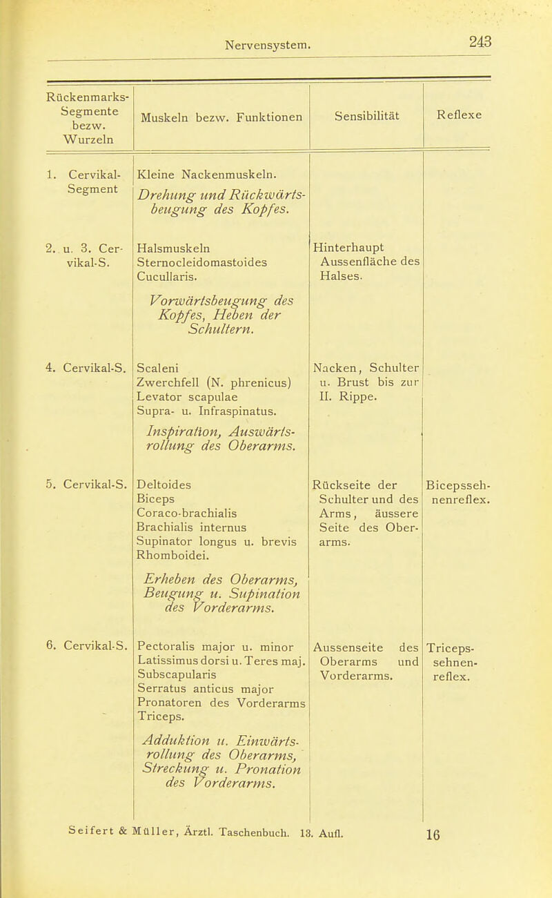 Rückenmarks- Segmente bezw. Wurzeln Muskeln bezw. Funktionen Sensibilität Reflexe 1. Cervikal- Segment Kleine Nackenmuskeln. Drehung und Rückwärts- beugung des Kopfes. 2. u. 3. Cer- vikal-S. Halsmuskeln Sternocleidomastoides Cucullaris. Vorwärisbeugung des Kopfes, Heben der Schultern. Hinterhaupt Aussenfläche des Halses. 4. Cervikal-S. Scalen! Zwerchfell (N. phrenicus) Levator scapulae Supra- u. Infraspinatus. Inspiration, Auswärts- rollung des Oberarms. Nacken, Schulter u. Brust bis zur II. Rippe. 5. Cervikal-S. Deltoides Biceps Coraco-brachialis Brachialis internus Supinator longus u. brevis Rhomboidei. Erheben des Oberarms, Beugung u. Supination des Vorderarms. Rückseite der Schulter und des Arms, äussere Seite des Ober- arms. Bicepsseh- nenreflex. 6. Cervikal-S. Pectoralis major u. minor Latissimus dorsi u. Teres maj. Subscapularis Serratus anticus major Pronatoren des Vorderarms Triceps. Adduktion u. Einwärts- rollung des Oberarms, ' Streckung u. Pronation des Vorderarms. Aussenseite des Oberarms und Vorderarms. Triceps- sehnen- reflex. Seifert & Müller, Ärztl. Taschenbuch. 13. Aufl. Iß