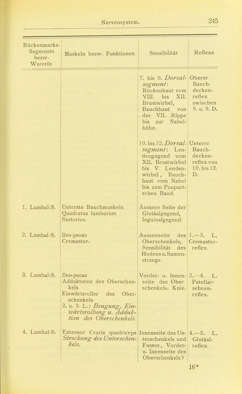 Rückenmarks- Segmente bezw. Wurzeln Muskeln bezw. Funktionen Sensibilität Reflexe 7. bis 9. Dorsal- segment : Rückenhaut vom VIII. bis XII. Brustwirbel, Bauchhaut von der VII. Rippe bis zur Nabel- höhe. Oberer Bauch- decken- reflex zwischen 8. u. 9. D. 10. bis 12. Z)orsa/- segment: Len- dengegend vom XII. Brustwirbel bis V. Lenden- wirbel , Bauch- haut vom Nabel bis zum Poupart- cpriöt-i Rnnri Unterer Bauch- decken- reflex von 10. bis 12. D. 1. Lumbal-S. Unterste Bauchmuskeln Quadratus lumborum Sartorius. Äussere .Seite der Glutäalgegend, Inguinalgegend. 2. Lumbal-S. Ileo-psoas Cremaster. Aussenseite des Oberschenkels, Sensibilität des Hodens u.Samen- strangs. 1. — O. L. Creraaster- reflex. 3. Lumbal-S. Ileo-psoas Adduktoren des Oberschen- kels Einwärtsroller des Ober- schenkels. 2. u. 3. L.: Beugung, Ein- wärtsrollung u. Adduk- tion des Oberschenkels Vorder- u. Innen- seite des Ober- schenkels. Knie. 2.-4. L. Patellar- sehnen- reflex. 4. Lumbal-S. Extensor Cruris quadriceps Streckung des Unterschen- kels. Innenseite des Un- terschenkels und Fasses, Vorder- u. Innenseite des Oberschenkels? 4.-5. L. Glutäal- reflex. 16*