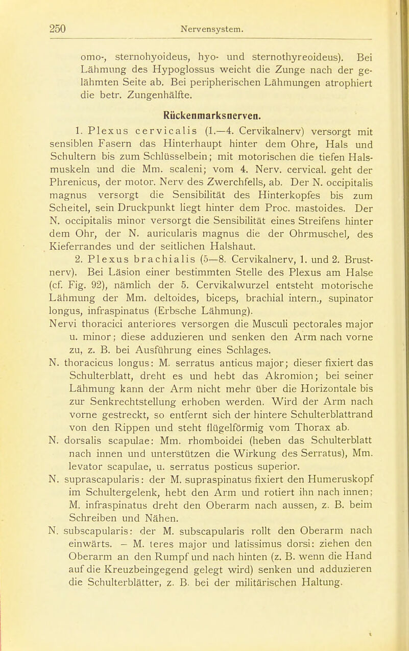 omo-, sternohyoideus, hyo- und sternothyreoideus). Bei Lähmung des Hypoglossus weicht die Zunge nach der ge- lähmten Seite ab. Bei peripherischen Lähmungen atrophiert die betr. Zungenhälfte. RUckenmarksnerven. 1. Plexus cervicalis (1.—4. Cervikalnerv) versorgt mit sensiblen Fasern das Hinterhaupt hinter dem Ohre, Hals und Schultern bis zum Schlüsselbein; mit motorischen die tiefen Hals- muskeln und die Mm. scaleni; vom 4. Nerv, cervical. geht der Phrenicus, der motor. Nerv des Zwerchfells, ab. Der N. occipitalis magnus versorgt die Sensibilität des Hinterkopfes bis zum Scheitel, sein Druckpunkt liegt hinter dem Proc. mastoides. Der N. occipitalis minor versorgt die Sensibilität eines Streifens hinter dem Ohr, der N. auricularis magnus die der Ohrmuschel^ des Kieferrandes und der seitlichen Halshaut. 2. Plexus brachialis (5—8. Cervikalnerv, 1. und 2. Brust- nerv). Bei Läsion einer bestimmten Stelle des Plexus am Halse (cf Fig. 92), nämlich der 5. Cervikalwurzel entsteht motorische Lähmung der IVIm. deltoides, biceps, brachial intern., supinator longus, infraspinatus (Erbsche Lähmung). Nervi thoracic! anteriores versorgen die Musculi pectorales major u. minor; diese adduzieren und senken den Arm nach vorne zu, z. B. bei Ausführung eines Schlages. N. thoracicus longus: M. serratus anticus major; dieser fixiert das Schulterblatt, dreht es und hebt das Akromion; bei seiner Lähmung kann der Arm nicht mehr über die Horizontale bis zur Senkrechtstellung erhoben werden. Wird der Arm nach vorne gestreckt, so entfernt sich der hintere Schulterblattrand von den Rippen und steht flügeiförmig vom Thorax ab. N. dorsalis scapulae: Mm. rhomboidei (heben das Schulterblatt nach innen und unterstützen die Wirkung des Serratus), Mm. levator scapulae, u. serratus posticus superior. N. suprascapularis: der M. supraspinatus fixiert den Humeruskopf im Schultergelenk, hebt den Arm und rotiert ihn nach innen; M. infraspinatus dreht den Oberarm nach aussen, z. B. beim Schreiben und Nähen. N. subscapularis: der M. subscapularis rollt den Oberarm nach einwärts. - M. teres major und latissimus dorsi: ziehen den Oberarm an den Rumpf und nach hinten (z. B. wenn die Hand auf die Kreuzbeingegend gelegt wird) senken und adduzieren die Schulterblätter, z. B. bei der militärischen Haltung.