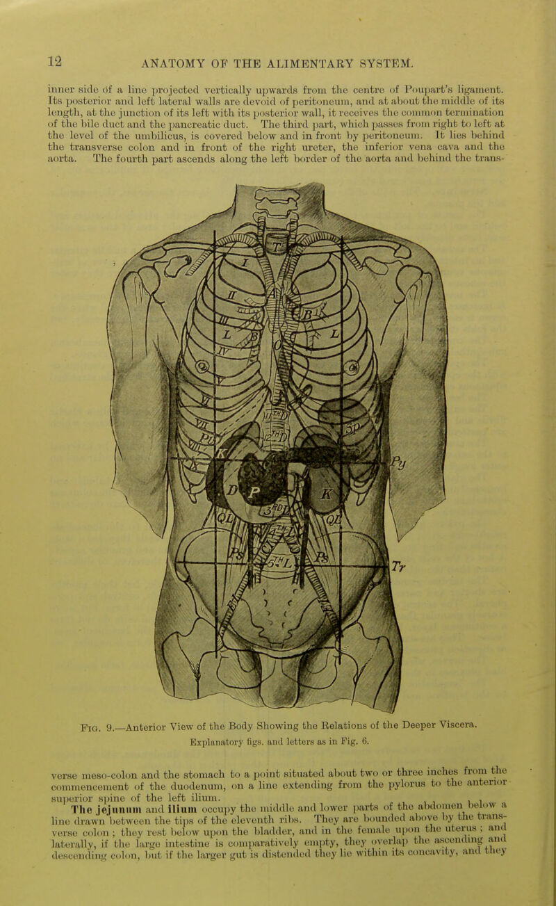 inner side (if a line projected vertically upwards from the centre of Poupart's ligament. Its posterior and left lateral walls are devoid of peritoneum, and at about the middle of its length, at the junction of its left with its posterior wall, it receives the common termination of the bile duct and the pancreatic duct. The tliird part, which passes from right to left at the level of the umbilicus, is covered below and in front l)y peritoneum. It lies behind the transverse colon and in front of the right ureter, the inferior vena cava and the aorta. The fourth part ascends along the left border of the aorta and behind the trans- ■piQ_ 9. Anterior View of the Body Showing the Relations of the Deeper Viscera. Explanatory figs, and letters as in Fig. 6. verse meso-colon and the stomach to a point situated about two or three inches from the commencement of the duodenum, on a line extemling from the pylorus tt) the anterior superior s])inc of the left ilium. , The jejuniim and ilium occupy the middle and lower parts of the abdomen below a line drawn'l)etwcen the tips of the eleventh ribs. They are bounded above by the trans- verse colon ; they rest l)elow upon the bladder, and in the female upon the utei-us ; anrt laterally, if the large intestine is comparatively empty, they overlai) the a.scenduig and descending colon, but if the larger gut is distended they lie witlnn its concavity, an.i tliey