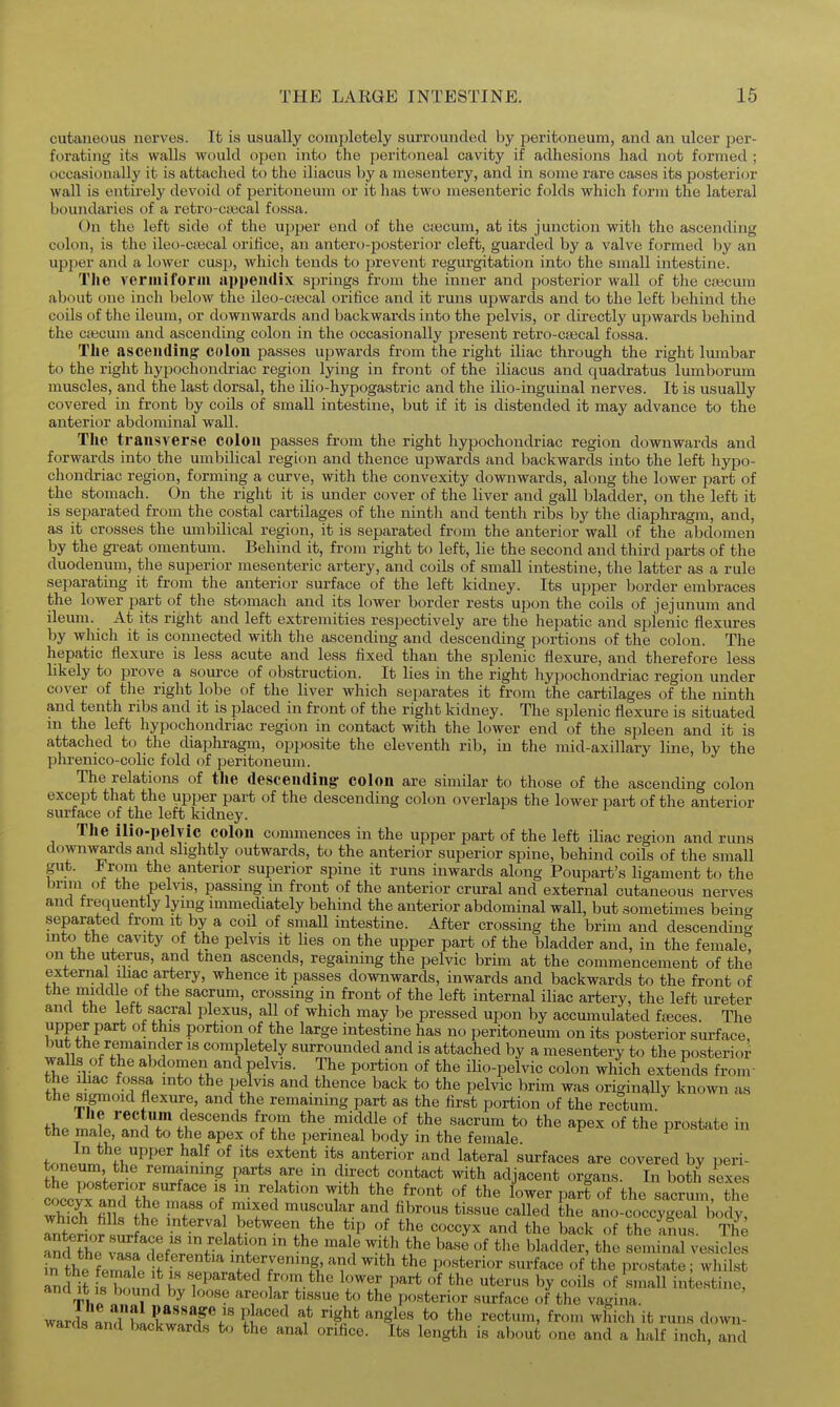 cutaneous nerves. It is usually completely surrounded by peritoneum, and an ulcer per- forating its walls would open into the peritoneal cavity if adhesions had not formed ; occasionally it is attached to the iliacus by a mesentery, and in some i-are cases its posterior wall is entirely devoid of peritoneum or it has two mesenteric folds which form the lateral boundaries of a retro-ca;cal fossa. On the left side of the ujjper end of the cajcum, at its junction with the ascending colon, is the ileo-cajcal oriiice, an antero-posterior cleft, guarded by a valve formed by an upper and a lower cusp, which tends to prevent regurgitation into the small intestine. Tlie vermiform appendix springs from the inner and posterior wall of the cajcum about one inch below the ileo-c;i3cal orifice and it runs upwards and to the left behind the coils of the ileum, or downwards and backwards into the pelvis, or directly upwards behind the cajcum and ascending colon in the occasionally present retro-cajcal fossa. The ascending colon passes upwards from the right iliac through the right lumbar to the right hypochondriac region lying in front of the iliacus and quadratus lumborum muscles, and the last dorsal, the iliohypogastric and the ilio-inguinal nerves. It is usually covered in front by coils of small intestine, but if it is distended it may advance to the anterior abdominal wall. The transverse colon passes from the right hypochondriac region downwards and forwards into the umbilical region and thence upwards and backwards into the left hypo- chondriac region, forming a curve, with the convexity downwards, along the lower part of the stomach. On the right it is under cover of the liver and gall bladder, on the left it is separated from the costal cartilages of the ninth and tenth ribs by the diaphragm, and, as it crosses the umbilical region, it is separated from the anterior wall of the abdomen by the great omentum. Behind it, from right to left, lie the second and third parts of the duodenum, the superior mesenteric artery, and coils of small intestine, the latter as a rule separating it from the anterior surface of the left kidney. Its upper border embraces the lower part of the stomach and its lower border rests upon the coils of jejunum and ileum. At its right and left extremities respectively are the hepatic and splenic flexures by which it is connected with the ascending and descending portions of the colon. The hepatic flexure is less acute and less fixed than the splenic flexure, and therefore less likely to prove a source of obstruction. It lies in the right hypochondriac region under cover of the right lobe of the liver which separates it from the cartilages of the ninth and tenth ribs and it is placed in front of the right kidney. The splenic flexure is situated m the left hypochondriac region in contact with the lower end of the spleen and it is attached to the diaphragm, opposite the eleventh rib, in the mid-axillary line, by the phrenico-colic fold of peritoneum. The relations of the descending colon are similar to those of the ascending colon except that the upper part of the descending colon overlaps the lower part of the anterior surface of the left kidney. The ilio-pelvic colon commences in the upper part of the left iliac region and runs downwards and slightly outwards, to the anterior superior spine, behind coils of the small gut. From the anterior superior spine it runs inwards along Poupart's ligament to the brim ot the pelvis, passing m front of the anterior crural and external cutaneous nerves and frequently lying immediately behind the anterior abdominal wall, but sometimes being separated from it by a coil of small intestine. After crossing the brim and descending into the cavity of the pelvis it lies on the upper part of the bladder and, in the female, on the uterus, and tnen ascends, regaining the pelvic brim at the commencement of the external ihac artery, whence it passes downwards, inwards and backwards to the front of the imdd e of the sacrum, crossing in front of the left internal iliac artery, the left ureter and the left sacral plexus, all of which may be pressed upon by accumulated fajces. The upper part of this portion of the large intestine has no peritoneum on its posterior surface but the remainder is completely surrounded and is attached by a mesentery to the posterior walls of the abdomen and pelvis. The portion of the ilio-pelvic colon which extends from- the Iliac fossa into the pelvis and thence back to the pelvic brim was originally known as the sigmoid flexure, and the remaining part as the first portion of the rectum Ihe rectum descends from the middle of the sacrum to the apex of the prostate in the male, and to the apex of the perineal body in the female In the upper half of its extent its anterior and lateral surfaces are covered bv peri- toneum the remaining parts are in direct contact with adjacent organs. In both sexes occv^anrfV'^'' 1 't^' ^^^'^ *^he lower part of the sacrum the whTch fiS^ ft Tr 1 ^ ^u^H ^^'i ^^^^ ^'^ll^d the ano-coccygeal body, Tntel^ s,,rL.pf between the tip of the coccyx and the back of the anus. The a?dThe Z?Sf.Vf r ^-'f ^^'^ bladder, the seminal vesicles ?n the LZlp ff« 'ffr'^'^S, and with the po,sterior surface of the prostate ; whilst Lnd it L boi jl «fP^^^*^«^^ fri.<^he lower part of the uterus by coils of small intestine, and It 18 bound by loose areolar tissue to the posterior surface of the vagina. wards Ldwk™r/' f ^S.^-' f^' it runs down- wards and backwards to the anal orifice. Its length is about one and a lialf inch, and