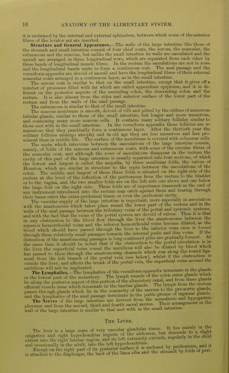 it is embraced by the internal and external sphincters, between which some of the anterior fibres of the levator ani are inserted. Structure and (Jenenil Appearance.—The walls of the large intestine like those of the stomach and small intestine consist of four chief coats, the serous, the muscular, the submucous and the mucous, but unlike the small intestine its walls are sacculated and the sacculi are arranged in three longitudinal rows, which are separated from each other by three Imnds of longitudinal muscle fibres. In the rectum the sacculations are not in rows and the longitudinal bands unite to form a continuous coat. The anal passage and the A'ermiform appendix are devoid of sacculi and have the longitudinal fibres of their external muscular coats arranged in a continuous layer, as in the small intestine. The serous coat is similar to that on the small intestine, except that it gives off a number of processes filled with fat which are called appendices epiploicfe, and it is de- ficient on the posterior aspects of the ascending colon, the descending colon and the rectum. It is also absent from the sides and anterior surface of the lower part of the rectum and from the walls of the anal passage. The submucosa is similar to that of the small intestine. The mucous membrane is smooth, devoid of villi and pitted by the orifices of numerous tubular glands, similar to those of the small intestine, but longer and more numerous, and containing many more mucous cells. It contains many solitary follicle.s similar to those met with in the small intestine. In the vermiform appendix these follicles are so numerous that they practically form a continuous layer. After the thirtieth year the solitary follicles undergo atrophy and in old age they are less numerous and less pro- minent than in middle life. The surface of the membrane is covered with columnar cells. The septa which intervene between the sacculations of the large intestine consist, mainly, of folds of the mucous and submucous coats, with some of the circular fibres of the muscular coat, and although the rows of sacculations disappear in the rectum the cavity of this part of the large intestine is usually separated into four sections, of which the lowest and largest is called the ampulla, by three semilunar folds, the valves of Houston, which are similar in structure to the septa between the sacculations of the colon. The middle and largest of these three folds is situated on the right side of the rectum at the level of the reflection of the peritoneum from the rectum to the bladder or to the vagina, and the two smaller folds are on the left side one above and one below the large fold on the right side. These folds are of importance inasmuch as the end of any instrument intr(xluced into the rectum may catch against them and tearing through their bases enter the extra-peritoneal tissue or even the peritoneal cavity. The vascular sui)]jly of the large intestine is important, more especially in association with the anastomosis which takes place round the lower part of the rectum and m the walls of the anal passage between the tributary veins of the portal and systemic systems and with the fact that the veins of the portal system are devoid of valves. Ilius it is that in any obstruction to the blood flow through the liver the anastomoses between the superior hi^morrhoidal veins and the inferior hsemorrhoidal veins become dilated, as the blood which should have passed through the liver to the inferior vena cava is f^.rced through these relatively small passages towards the internal pudic and iliac veins, it the distention of the anastomosing passages is l..ng continued piles are gradually formed. At the same time it should be noted that if the obstruction to the portal cn:culation is the liver the superficial veins round the umbilicus will also be dilated by blood which has passed to them through the anastomosing channels which run along tli« r^d h^^^ ment from the left branci of the portal vein (see below), whilst if the »b«^ruction is outside the liver, and afi'ects the trunk of the portal vein, the superficial veins aiound the umbilicus will not be implicated. _ . i.„ ;„ fu^ rrlanrl« The Lyn.phatics.-The lymphatics of the vermiform appendix terminate m the gkn^^ in the lowest part of the mesentery. The lymph vessels of the f ^^^^^^^.^fj^^f'T^^^^ lie along the posterior aspect of this portion of the alimenfciry canal ^^^^/^ ^^f J^^^/^^^^^^^^ efferent vesse s issue which terminate in the lumbar glands. The Ij'^Ph * passes through glands which lie in the concavity of the sacrum to the pre-^ortic glands, and the lymphatics of the anal passage terminate m the pubic groups of ^^^^^^^^^^^^^^^ The Nerves of the large intestine are derived from the ^^^^'^.^^^^^ji^^^^^^^^ plexuses and from the second, third and fourth sacral nerves. Their arrangement in the wall of the large intestine is similar to that met with m the small intestine. The Livbe, The liver is a large mass of very vascular glandular tissue. It lies im^^^^^^ epigastric and right hypochondriac Sa^ in tL^IS^^^ extent into tlie right lumbar region, and its left extremity extends, rcguiaiiy and occasionally in the adult, into the left hypochondrium. neritoneum and it Except on the right part of its posterior surface it is is attached to the difphragm, the back of tlie Imea alba and the stomach by tokls pen