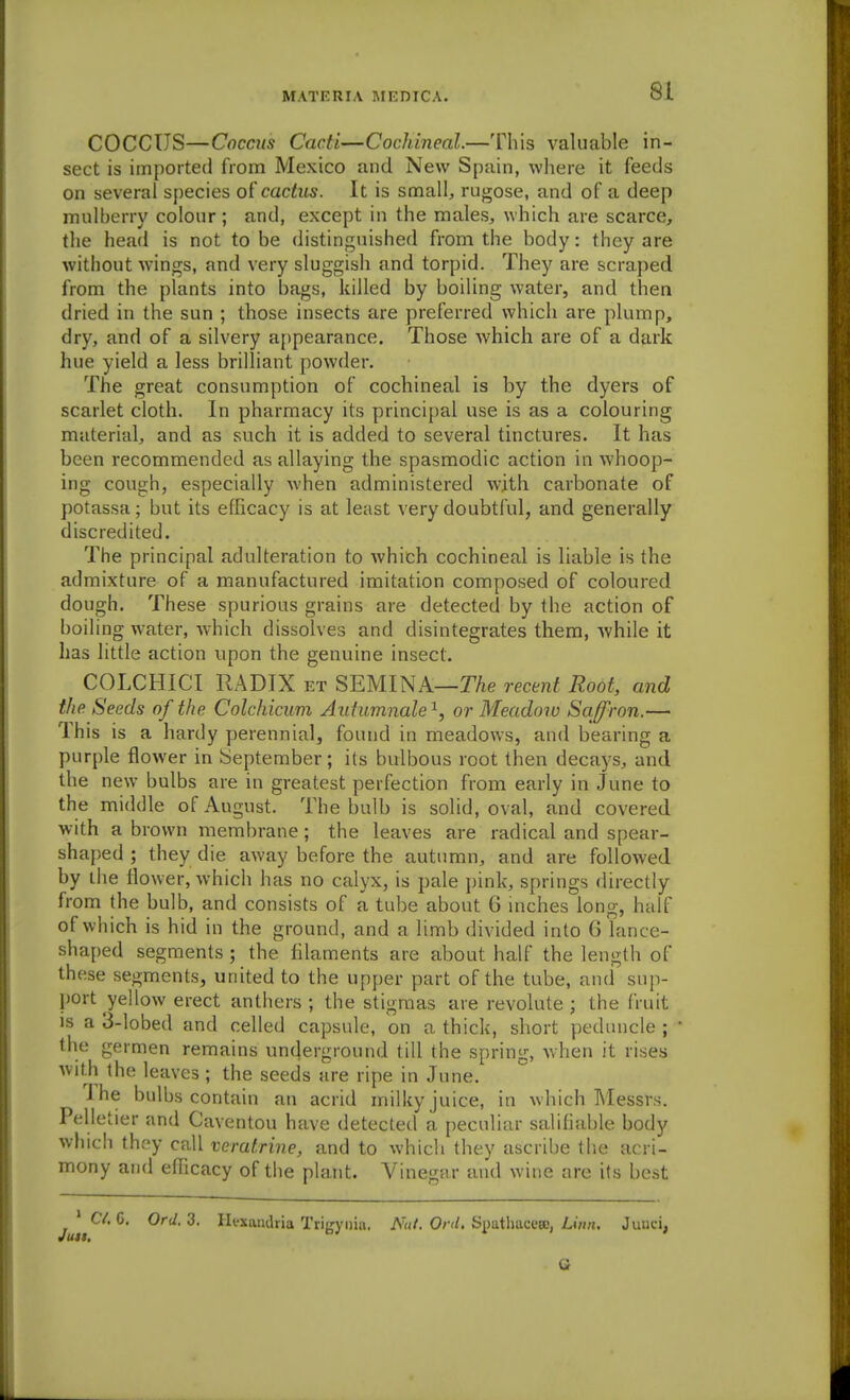 COCCUS—Coccus Cacti—Cochineal.—This valuable in- sect is imported from Mexico and New Spain, where it feeds on several species cactus. It is small, rugose, and of a deep mulberry colour ; and, except in the males, which are scarce, the head is not to be distinguished from the body: they are without wings, and very sluggish and torpid. They are scraped from the plants into bags, killed by boiling water, and then dried in the sun ; those insects are preferred which are plump, dry, and of a silvery appearance. Those Avhich are of a dark hue yield a less brilliant powder. The great consumption of cochineal is by the dyers of scarlet cloth. In pharmacy its princi{)al use is as a colouring material, and as such it is added to several tinctures. It has been recommended as allaying the spasmodic action in whoop- ing cough, especially when administered with carbonate of potassa; but its efficacy is at least very doubtful, and generally discredited. The principal adulteration to which cochineal is liable is the admixture of a manufactured imitation composed of coloured dough. These spurious grains are detected by the action of boiling water, which dissolves and disintegrates them, while it has little action upon the genuine insect. COLCHICI RADIX et SEMINA—TAe recent Root, and the Seeds of the Colchicum Aiitumnale or Meadow Saffron.— This is a hardy perennial, found in meadows, and bearing a purple flower in September; its bulbous root then decays, and the new bulbs are in greatest perfection from early in June to the middle of August. The bulb is solid, oval, and covered with a brown membrane; the leaves are radical and spear- sha{)ed ; they die away before the autumn, and are followed by the flower, which has no calyx, is pale pink, springs directly from the bulb, and consists of a tube about G inches long, half of which is hid in the ground, and a limb divided into 6 lance- shaped segments ; the filaments are about half the length of these segments, united to the upper part of the tube, and sup- port yellow erect anthers; the stigmas are revolute ; the fruit is a 3-lobed and celled capsule, on a thick, short peduncle ;  tiie germen remains underground till the spring, when it rises with the leaves ; the seeds are ripe in June. Ihe bulbs contain an acrid milky juice, in which Messrs. Pelletier and Caventou have detected a peculiar salifiable body which they call veratrine, and to which they ascribe the acri- mony and efficacy of the plant. Vinegar and wine are its best Jutt^^'^ 3. Hfxandria Trigyiiia. 0/v/. S^jathaet'w, Lin;i. Juuci,