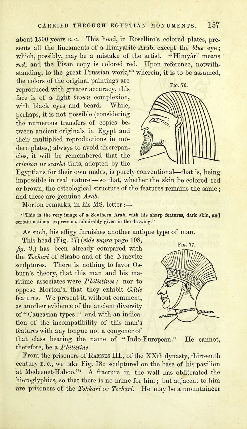 about 1500 years b. c. This head, in Rosellini's colored plates, pre- sents all the lineaments of a Himyarite Arab, except the blue eye; which, possibly, may be a mistake of the artist. Himyar means red, and the Pisan copy is colored red. Upon reference, notwith- standing, to the great Prussian work,163 wherein, it is to be assumed, the colors of the original paintings are reproduced with greater accuracy, this face is of a light brown complexion, with black eyes and beard. While, perhaps, it is not possible (considering the numerous transfers of copies be- tween ancient originals in Egypt and their multiplied reproductions in mo- dern plates,) always to avoid discrepan- cies, it will be remembered that the crimson or scarlet tints, adopted by the Egyptians for their own males, is purely conventional—that is, being impossible in real nature — so that, whether the skin be colored red or brown, the osteological structure of the features remains the same; and these are genuine Arab. Morton remarks, in his MS. letter:—  This is the very image of a Southern Arab, with his sharp features, dark skin, and certain national expression, admirably given in the drawing. As such, his effigy furnishes another antique type of man. This head (Fig. 77) (vide supra page 108, fig. 9,) has been already compared with the Tochari of Strabo and of the Mnevite sculptures. There is nothing to favor Os- burn's theory, that this man and his ma- ritime associates were Philistines; nor to oppose Morton's, that they exhibit Celtic features. We present it, without comment, as another evidence of the ancient diversity of  Caucasian types: and with an indica- tion of the incompatibility of this man's features with any tongue not a congener of that class bearing the name of Indo-European. He cannot, therefore, be a Philistine. From the prisoners of Ramses III., of the XXth dynasty, thirteenth century b. c, we take Fig. 78: sculptured on the base of his pavilion at Medeenet-Haboo.164 A fracture in the wall has obliterated the hieroglyphics, so that there is no name for him; but adjacent to him are prisoners of the ToJcJcari or Tochari. He may be a mountaineer