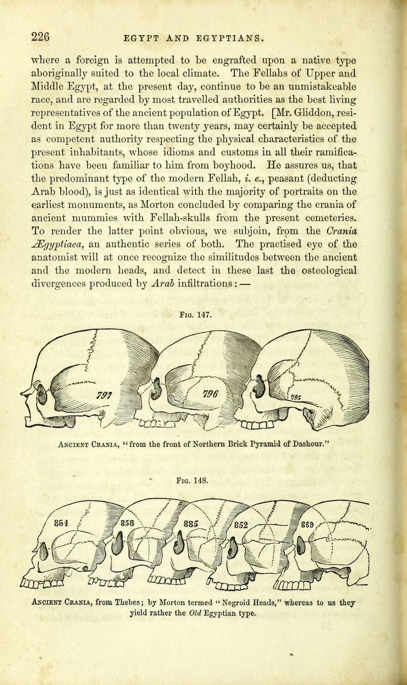 where a foreign is attempted to be engrafted upon a native type aboriginally suited to the local climate. The Fellahs of Upper and Middle Egypt, at the present day, continue to be an unmistakeable race, and are regarded by most travelled authorities as the best living representatives of the ancient population of Egypt. [Mr. Gliddon, resi- dent in Egypt for more than twenty years, may certainly be accepted as competent authority respecting the physical characteristics of the present inhabitants, whose idioms and customs in all their ramifica- tions have been familiar to him from boyhood. He assures us, that the predominant type of the modern Fellah, i. e., peasant (deducting Arab blood), is just as identical with the majority of portraits on the earliest monuments, as Morton concluded by comparing the crania of ancient mummies with Fellah-skulls from the present cemeteries. To render the latter point obvious, we subjoin, from the Crania JEgyptiaca, an authentic series of both. The practised eye of the anatomist will at once recognize the similitudes between the ancient and the modern heads, and detect in these last the osteological divergences produced by Arab infiltrations: — Fio. 147. Ancient Ceania, from the front of Northern Brick Pyramid of Dashour. Fig. 148. Ancient Ceania, from Thebes; by Morton termed  Negroid Heads, -whereas to us they yield rather the Old Egyptian type.