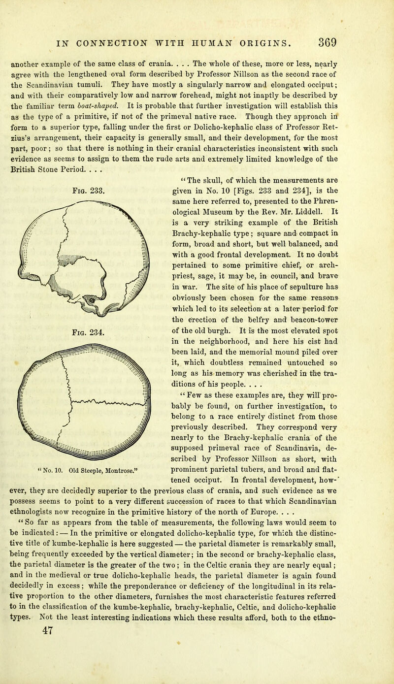 another example of the same class of crania. . . . The whole of these, more or less, nearly agree with the lengthened oval form described by Professor Nillson as the second race of the Scandinavian tumuli. They have mostly a singularly narrow and elongated occiput; and with their comparatively low and narrow forehead, might not inaptly be described by the familiar term boat-shaped. It is probable that further investigation will establish this as the type of a primitive, if not of the primeval native race. Though they approach in form to a superior type, falling under the first or Dolicho-kephalic class of Professor Ret- zius's arrangement, their capacity is generally small, and their development, for the most part, poor; so that there is nothing in their cranial characteristics inconsistent with such evidence as seems to assign to them the rude arts and extremely limited knowledge of the British Stone Period. . . . The skull, of which the measurements are given in No. 10 [Figs. 233 and 234], is the same here referred to, presented to the Phren- ological Museum by the Rev. Mr. Liddell. It is a very striking example of the British Brachy-kephalic type; square and compact in form, broad and short, but well balanced, and with a good frontal development. It no doubt pertained to some primitive chief, or arch- priest, sage, it may be, in council, and brave in war. The site of his place of sepulture has obviously been chosen for the same reasons which led to its selection' at a later period for the erection of the belfry and beacon-tower of the old burgh. It is the most elevated spot in the neighborhood, and here his cist had been laid, and the memorial mound piled over it, which doubtless remained untouched so long as his memory was cherished in the tra- ditions of his people. . . . Few as these examples are, they will'pro- bably be found, on further investigation, to belong to a race entirely distinct from those previously described. They correspond very nearly to the Brachy-kephalic crania of the supposed primeval race of Scandinavia, de- scribed by Professor Nillson as short, with prominent parietal tubers, and broad and flat- tened occiput. In frontal development, how-' ever, they are decidedly superior to the previous class of crania, and such evidence as we possess seems to point to a very different succession of races to that which Scandinavian ethnologists now recognize in the primitive history of the north of Europe. . . .  So far as appears from the table of measurements, the following laws would seem to be indicated: — In the primitive or elongated dolicho-kephalic type, for which the distinc- tive title of kumbe-kephalic is here suggested — the parietal diameter is remarkably small, being frequently exceeded by the vertical diameter; in the second or brachy-kephalic class, the parietal diameter is the greater of the two ; in the Celtic crania they are nearly equal; and in the medieval or true dolicho-kephalic heads, the parietal diameter is again found decidedly in excess; while the preponderance or deficiency of the longitudinal in its rela- tive proportion to the other diameters, furnishes the most characteristic features referred to in the classification of the kumbe-kephalic, brachy-kephalic, Celtic, and dolicho-kephalic types. Not the least interesting indications which these results afford, both to the ethno- 47 Fig. 233.  No. 10. Old Steeple, Montrose.