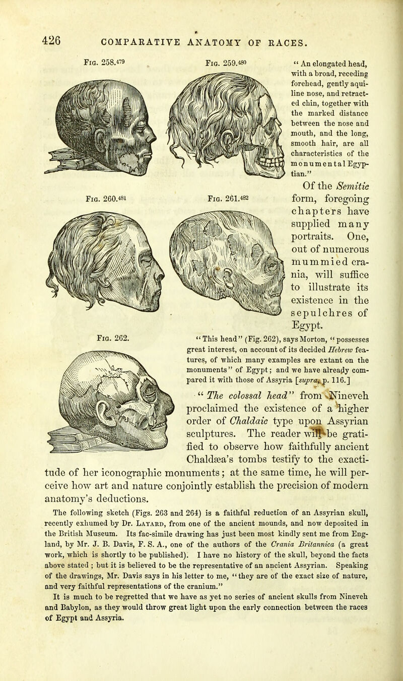 Fig. 258.179 Fig. 259.48 «An elongated head, with a broad, receding forehead, gently aqui- line nose, and retract- ed chin, together -with the marked distance between the nose and mouth, and the long, smooth hair, are all characteristics of the monumental Egyp- tian. Of the Semitic Fig. 260.481 Fig. 261.482 form, foregoing chapters have supplied many portraits. One, out of numerous mummied cra- nia, will suffice to illustrate its existence in the sepulchres of Egypt.  This head  (Fig. 262), says Morton,  possesses great interest, on account of its decided Hebrew fea- tures, of which many examples are extant on the monuments of Egypt; and we have already com- pared it with those of Assyria [supra^y. 116.] The colossal head' from vjNineveh proclaimed the existence of a ^higher order of Chaldaic type upon Assyrian sculptures. The reader wlf^be grati- fied to observe how faithfully ancient Chaldsea's tombs testify to the exacti- tude of her iconographic monuments; at the same time, he will per- ceive how art and nature conjointly establish the precision of modern anatomy's deductions. The following sketch (Figs. 263 and 264) is a faithful reduction of an Assyrian skull, recently exhumed by Dr. Layard, from one of the ancient mounds, and now deposited in the British Museum. Its fac-simile drawing has just been most kindly sent me from Eng- land, by Mr. J. B. Davis, F. S. A., one of the authors of the Crania Britannica (a great work, which is shortly to be published). I have no history of the skull, beyond the facts above stated ; but it is believed to be the representative of an ancient Assyrian. Speaking of the drawings, Mr. Davis says in his letter to me, they are of the exact size of nature, and very faithful representations of the cranium. It is much to be regretted that we have as yet no series of ancient skulls from Nineveh and Babylon, as they would throw great light upon the early connection between the races of Egypt and Assyria.