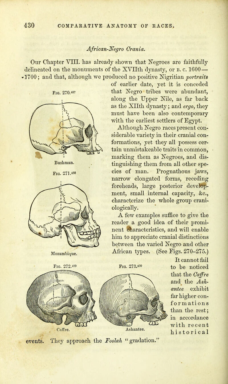 African-Negro Crania. Fig. 270.87 Bushman. Fig. 271.488 Our Chapter VILL. has already shown that Negroes are faithfully delineated on the monuments of the XVIIth dynasty, or B. c. 1600 — 1700; and that, although we produced no positive Nigritian portraits of earlier date, yet it is conceded that Negro tribes were abundant, along the Upper Nile, as far back as the Xllth dynasty; and ergo, they must have been also contemporary with the earliest settlers of Egypt. Although Negro races present con- siderable variety in their cranial con- formations, yet they all possess cer- tain unmistakeable traits in common, marking them as Negroes, and dis- tinguishing them from all other spe- cies of man. Prognathous jaws, narrow elongated forms, receding foreheads, large posterior develop- ment, small internal capacity, &c, characterize the whole group crani- ologically. A few examples suffice to give the reader a good idea of their promi- nent characteristics, and will enable him to appreciate cranial distinctions between the varied Negro and other African types. (See Figs. 270-275.) It cannot fail Fig. 273.4M to ^e noticed that the Caffre and the Ash- antee exhibit far higher con- formations than the rest; in accordance with recent historical Mozambique. Fig. 272. Caffre. Ashantee. events. They approach the Foolah gradation.