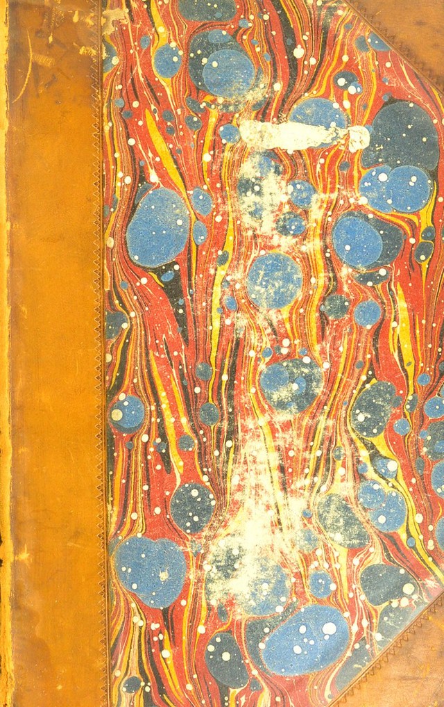 No text description is available for this image