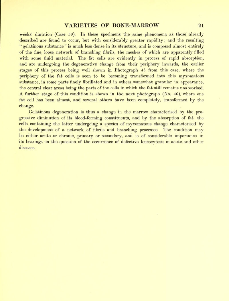 weeks' duration (Case 59). In these specimens the same phenomena as those already described are found to occur, but with considerably greater rapidity ; and the resulting gelatinous substance is much less dense in its structure, and is composed almost entirely of the fine, loose network of branching fibrils, the meshes of which are apparently filled with some fluid material. The fat cells are evidently in process of rapid absorption, and are undergoing the degenerative change from their periphery inwards, the earlier stages of this process being well shown in Photograph 45 from this case, where the periphery of the fat cells is seen to be becoming transformed into this myxomatous substance, in some parts finely fibrillated and in others somewhat granular in appearance, the central clear areas being the parts of the cells in which the fat still remains unabsorbed. A further stage of this condition is shown in the next photograph (No. 46), where one fat cell has been almost, and several others have been completely, transformed by the change. Gelatinous degeneration is thus a change in the marrow characterised by the pro- gressive diminution of its blood-forming constituents, and by the absorption of fat, the cells containing the latter undergoing a species of myxomatous change characterised by the development of a network of fibrils and branching processes. The condition may be either acute or chronic, primary or secondary, and is of considerable importance in its bearings on the question of the occurrence of defective leucocytosis in acute and other diseases.