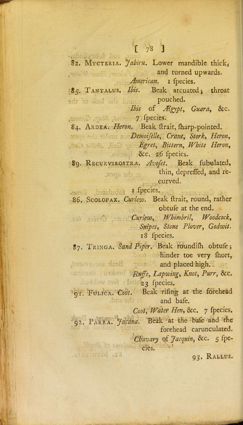 82. Mycteria. Jabiru. Lower mandible thick, and turned upwards. American, i fpecies. 85. Tantalus. Ibis. Beak arcuated j throat pouched. Ibis of Aigypt, Guara, &c. 7 fpecies. 84. Ardea. Heron,. Beak ftrait, fharp-pointed. Denwifelle, Crane, Stork, Heron, Egret, Bittern, White Heron, &c. 26 fpecies. 89. Recurvirostra. Avofet. Beak fubulated, thin, depreffed, and re- curved. 1 fPecies- . 86. Scolopax. Curlew. Beak ftrait, round, rather obtufe at the end. Curlew, Whimbril, Woodcock, Snipes, Stone Plover, Godwit. 18 fpecies. 87. Tringa. Sand Piper. Beak roundifti obtufe; hinder toe very fhort, and placed high. Ruffe, Lapwing, Knot, Purr, &c. 23 fpecies. qr. Fulica. Coot. Beak rifing at the forehead and bafe. Coot, Water Hen, &c. 7 fpecies. 92. Parra. Jacana. Beak at the bafe and the forehead carunculated. Chavary qf Jacquin, &c. 5 fpe- cies. 93. Rallus.