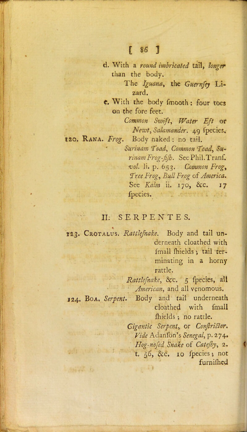 d. With a round imbricated tail, longer than the body. The Iguana, the Guernfey Li- zard. C, With the body fmooth: four toes on the fore feet. Common Swift, Water Eft or Newt, Salamander. 49 fpecies. 120. Rana. Frog. Body naked : no tail. Surinam Toad, Common Tcad, Su- rinam Frog-ffh. See Phil.Tranf. vol. li. p. 653. Common Frog, free Frog, Bull Frog of America. See Kalm ii. 170, &c. 17 fpecies. II; SERPENTES. « 123. Crotalus. Rattlefnake. Body and tail un- derneath cloathed with fmall fhields •, tail ter- minating in a horny rattle. Rattlefnake, &c. 5 fpecies, all American, and all venomous. 124. Boa, Serpent. Body and tail underneath cloathed with fmall fliields ; no rattle. Gigantic Serpent, or Conjlriclor. Vide Adanfon's Senegal, p. 274. Hog-nofed Snake of Catefby, 2. t. 56, &c. 10 fpecies-, not furnifhcd