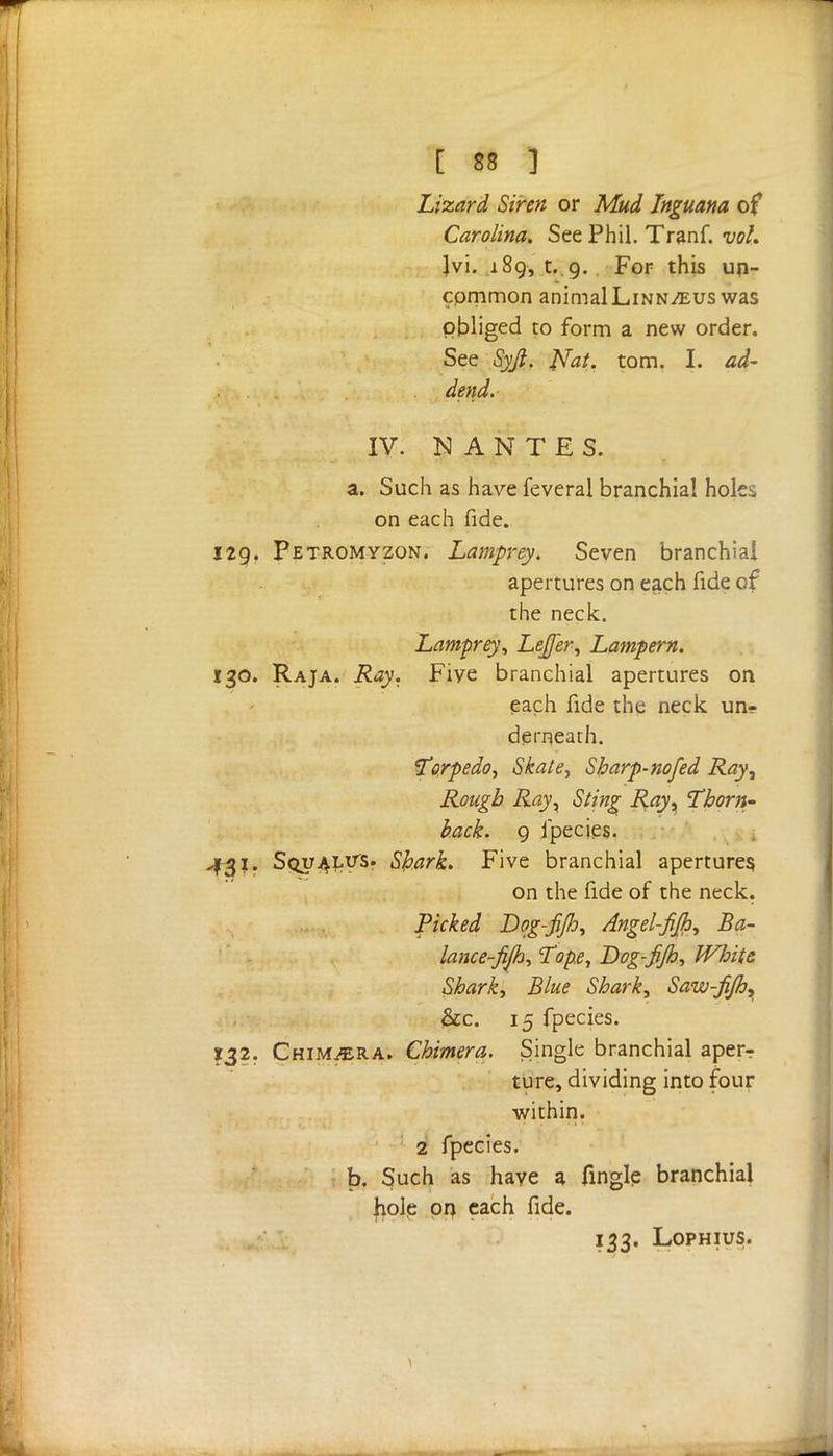 Lizard Siren or Mud Tnguana of Carolina. See Phil. Tranf. vol. Jvi. .189, t. 9. For this un- common animal Linnaeus was obliged to form a new order. See Syjl. Nat. torn. I. *z^- dend. IV. NANTES. a. Such as havefeveral branchial holes on each fide. 129. Petromyzon. Lamprey. Seven branchiai apertures on each fide of the neck. Lamprey, Leffer, Lampern. 130. Raja. Ray. Five branchial apertures on each fide the neck un- derneath. 'torpedo, Skate, Sharp-no fed Ray, Rough Rayx Sting Ray, Thorn- back. 9 fpecies. ^1. Squads. Shark. Five branchial apertures, on the fide of the neck. Picked Bog-fijhy Angel-Jijh, Ba- lance-fijh, Tope, Dog-fijb., White, Shark, Blue Shark, Saw-fjh, &c. 15 fpecies. 132. Chimjera. Chimera. Single branchial aperr ture, dividing into four within. 2 fpecies. b. Such as have a fingle branchial hole on each fide. 133. Lophius. \