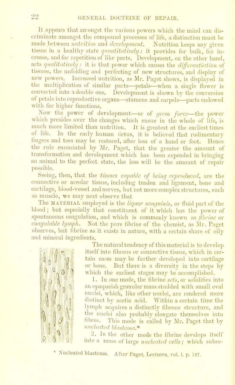 It appears tliat an:ongst the various powers wliich the mind can dis- criminate amongst the compound processes of life, a distinction must be made between nutrition and clcveiopmcnt. Nutrition keeps anv given tissue in a healthy state qiKintitatively: it provides for bulk, for in- crease, and for l epetition of like parts. Development, on the other hand, acts qualitativclij : it is that power which causes the diffcrerdii'tion of tissues, the unfolding and perfecting of new structures, and display of new powers. Increiised nutrition, as Mr. Paget shows, is displayed in the multiplication of similar parts—petals—when a single flower is converted into a double one. Development is shown by the conversion of petals into reproductive organs—stamens and carpels—parts endowed with far higher functions. Now the power of development—or of germ force—the power which presides over the changes which ensue in the whole of life, is much moi'e limited than nutrition. It is greatest at the earliest times of life. In the early human Ibetus, it is believed that rudimentary lingers and toes may be restored, after loss of a hand or foot. Hence the rule enunciated by Mr. Paget, that the greater the amount of transformation and development which has been expended in bringing an animal to the perfect state, the less will be the amount of repair possible. Seeing, then, that the tissues capahle of being reproduced, are the connective or areolar tissue, including tendon and ligament, bone and cartilage, blood-vessel and nerves, but not more complex structures, such as muscle, we may next observe that The MATERIAL employed is the liquor sanguinis, or tluid part of the blood ; but especially that constituent of it which has the power of spontaneous coagulation, and which is commonly known as Jibrinc ov coagulahle lymph. Not the pure fibrine of the chemist, as Mr. Paget observes, but tlbrine as it exists in nature, with a ceitain share of oily and mineral ingredients. The natural tendency of this material is to develop itself into fibrous or connective tissue, which in cer- tain cases may be further develoi)ed into cartilage or bone. But there is a diversity in the steps by which the earliest stages may be accomplished. 1. In one mode, the fibrine sets, or solidifies into an opaqueish granular mass studded with small oval nuclei, which, like other nuclei, arc rendered more distinct by acetic acid. Within a certain time the lymph acquires a distinctly fibrons structure, and the nuclei also probably elongate themselves into fibres. This mode is called by Mr. Paget that by nucleated blustema* In the other mode the fibrine develops itself into a mass oi hrgc nucleidcd cells; which subse- ' Nucleated blastema. ARcr I'agct, U'clurcs, vol. i. p. 187.
