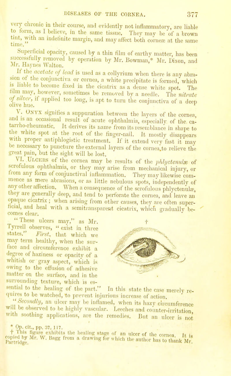 very chronic in their coiu-se, and evidently not inflammatory, are liable to form, as I believe, in the same tissue. They may be of a brown tint, with an mdetluite margin, and may affect both cornea; at the s<ime time. Superficial opacity, caused by a thin film of earthy matter, lias been successfully removed by operation by Mr. Bowman,'* Mr. Di.xou, and Mr. Haynes Walton. If the acetate of lead is used as a coUyrium when tlierc is any abra- sion ot the conjunctiva or cornea, a white precipitate is formed, which IS liable to become fi.xed in the cicatrix as a dense white spot. The film may, however, sometimes be removed by a needle. The nitrate of silver, It applied too long, is apt to turn the conjunctiva of a deep olive hue. ' \. Onyx signifies a suppuration between the layers of the cornea and IS an ocaisional result of acute ophthalmia, especially of the ca- tarrho-rhoumatic. It derives its name from its resemblance in shape to the white spot at the root of the finger-nail. It mostly disappears with proper antiphlogistic treatment. If it extend very fast it may be necessaiy to puncture the external layers of the coriiea'.to relieve the great pam, but the sight will be lost. VI. Ulcers of the cornea may be results of the phlijctenulx of scrofulous ophthalmia, or they may arise from mechanical injury, or from any form of conjunctival inflammation. They may likewise com- mence as mere abrasions, or as little nebulous spots, independently of any other affection. When a consequence of the scrofulous phlyctenuhT they are generally deep, and tend to perforate the cornea, and leave an opaque cicatrix-; when arising from other causes, they are often super- ficial, and heal with a semitiansparent cicatrix, which o-iaduallv be- comes clear.   These ulcers may, as Mr. TyiTell observes,  exist in three states. First, that which we may term healthy, when the sur- face and circumference e.xhibit a degree of haziness or opacity of a whitish or gray aspect, wliich is owing to the effusion of adiiesivc matter on the surface, and in the surrounding texture, which ia es- sential to the healing of the part. In this state the case merely re- quires to be watched, to prevent injurious increase of action.  Secoiidlij, an ulcer may lie inflamed, when its hazy ciroumfeionce wdl be observed to bo highly vascular. Leeches and •■olmtcr-irritation with soothing applications, are the remedies. Hut an ulcer is not ' Op. clt„ pp. 37, 117. nnt 'I'h' tlic limliiiK stage of nn nicer of ll.o cmwa It i» ZlrL% ^^^  ''^^1' tliomitiior l,„s to tlmnk m!