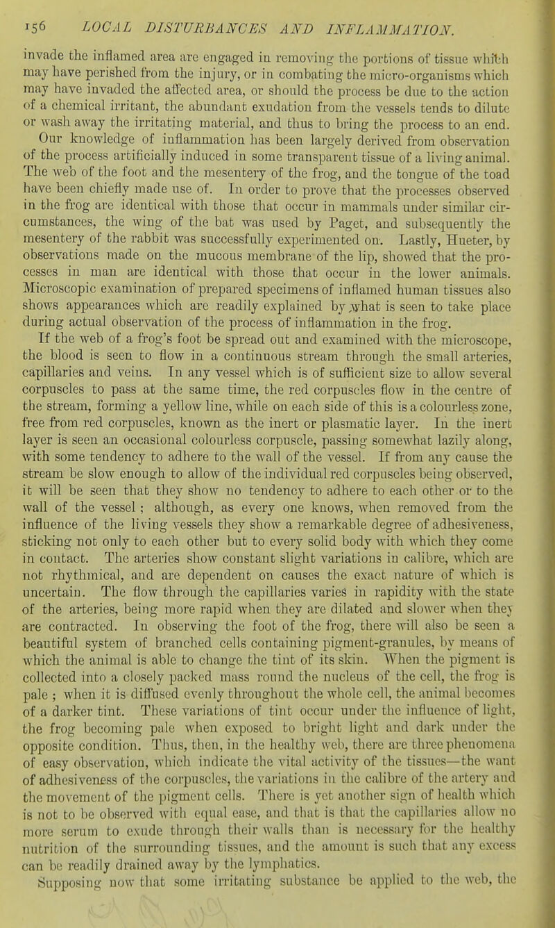 invade the inflamed area arc engaged iu removing the portions of tissue whibh may have perished from the injury, or in combating the micro-organisms which may have invaded the aifected area, or should the process be due to the action of a chemical ii-ritant, the abundant exudation from the vessels tends to dilute or wash away the irritating material, and thus to bring the process to an end. Our knowledge of inflammation has been largely derived from observation of the process artificially induced in some transparent tissue of a living animal. The web of the foot and the mesentery of the frog, and the tongue of the toad have been chiefly made use of. In order to prove that the processes observed in the frog are identical with those that occur in mammals under similar cir- cumstances, the wing of the bat was used by Paget, and subsequently the mesentery of the rabbit was successfully experimented on. Lastly, Hueter, by observations made on the mucous membrane of the lip, showed tlaat the pro- cesses in man are identical with those that occur in the lower animals. Microscopic examination of prepared specimens of inflamed human tissues also shows appearances which are readily explained by M^at is seen to take place during actual observation of the process of inflammation in the frog. If the web of a frog's foot be spread out and examined with the microscope, the blood is seen to flow in a continuous stream through the small arteries, capillaries and veins. In any vessel which is of sufficient size to allow several corpuscles to pass at the same time, the red corpuscles flow in the centre of the stream, forming a yellow line, while on each side of this is a colourless zone, free from red corpuscles, known as the inert or plasmatic layer. In the inert layer is seen an occasional colourless corpuscle, passing somewhat lazily along, with some tendency to adhere to the wall of the vessel. If from any cause the stream be slow enough to allow of the individual red corpuscles being observed, it will be seen that they show no tendency to adhere to each other or to the wall of the vessel; although, as every one knows, when removed from the influence of the living vessels they show a remarkable degree of adhesiveness, sticking not only to each other but to every solid body with which they come in contact. The arteries show constant slight variations in calibre, which are not rhythmical, and are dependent on causes the exact nature of which is uncertain. The flow through the capillaries varies in rapidity with the state of the arteries, being more rapid when they are dilated and slower when thev are contracted. In observing the foot of the frog, there will also be seen a beautiful system of branched cells containing pigment-granules, by means of which the animal is able to change the tint of its skin. When the pigment is collected into a closely packed mass round the nucleus of the cell, the frog is pale ; when it is diffused evenly throughout the whole cell, the animal liecomes of a darker tint. These variations of tint occur under the influence of light, the frog becoming pale when exposed to bright light and dark under the opposite condition. Thus, then, in the healthy web, there are three phenomena of easy observation, which indicate the vital activity of the tissues—the want of adhesiven£ss of the corpuscles, the variations in the calibre of the artery and the movement of the pigment cells. There is yet another sign of health which is not to be observed with equal ease, and that is that the capillaries allow no more serum to exude through their walls than is necessary for the healthy nutrition of the surrounding tissues, and the amount is such that any excess can be readily drained away by the lymphatics. Supposing now that some irritating substance be applied to the web, tlie