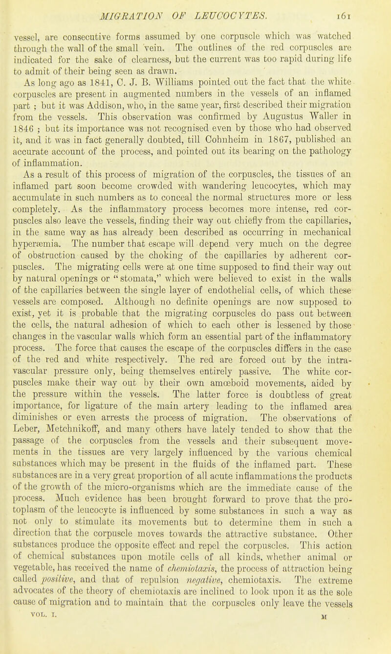 vessel, are consecutive forms assumed by one corpuscle which was watched through the wall of the small vein. The outlines of the red corpuscles are iudicated for the sake of clearness, but the current was too rapid during life to admit of their being seen as drawn. As long ago as 1841, C. J. B. Williams pointed out the fact that the white corpuscles are present in augmented numbers in the vessels of an inflamed part ; but it was Addison, who, in the same year, first described their migration from the vessels. This observation was confirmed by Augustus Waller in 1846 ; but its importance was not recognised even by those who had observed it, and it was in fact generally doubted, till Cohnheim in 1867, published an accm-ate account of the process, and pointed out its bearing on the pathology of inflammation. As a result of this process of migration of the corpuscles, the tissues of an inflamed part soon become crowded with wandering leucocytes, which may accumulate in such numbers as to conceal the normal structures more or less completely. As the inflammatory process becomes more intense, red cor- puscles also leave the vessels, finding their way out chiefly from the capillaries, in the same way as has already been described as occurring in mechanical hypertemia. The number that escape will depend very much on the degree of obstruction caused by the choking of the capillaries by adherent cor- puscles. The migrating cells were at one time supposed to find their way out by natural openings or stomata, which were believed to exist in the walls of the capillaries between the single layer of endothelial cells, of which these vessels are composed. Although no definite openings are now supposed to exist, yet it is probable that the migrating corpuscles do pass out between the cells, the natural adhesion of which to each other is lessened by those changes in the vascular walls which form an essential part of the inflammatory process. The force that causes the escape of the corpuscles differs in the case of the red and white respectively. The red are forced out by the intra- vascular pressure only, being themselves entirely passive. The white cor- puscles make their way out by their own amoeboid movements, aided by the pressure within the vessels. The latter force is doubtless of great importance, for ligature of the main artery leading to the inflamed area diminishes or even arrests the process of migration. The observations of Leber, Metchnikofi, and many others have lately tended to show that the passage of the corpuscles from the vessels and their subsequent move- ments in the tissues are very largely influenced by the various chemical substances which may be present in the fluids of the inflamed part. These substances are in a very great proportion of all acute inflammations the products of the growth of the micro-organisms which are the immediate cause of the process. Much evidence has been brought forward to prove that the pro- toplasm of the leucocyte is influenced by some substances in such a way as not only to stimulate its movements but to determine them in such a direction that the corpuscle moves towards the attractive substance. Other substances produce the opposite effect and repel the corpuscles. This action of chemical substances upon motile cells of all kinds, whether animal or vegetable, has received the name of chmiiotaxis, the process of attraction being called posiliva, and that of repulsion negative, chcmiotaxis. The extreme advocates of the theory of chcmiotaxis are inclined to look upon it as the sole cause of migration and to maintain that the corpuscles only leave the vessels