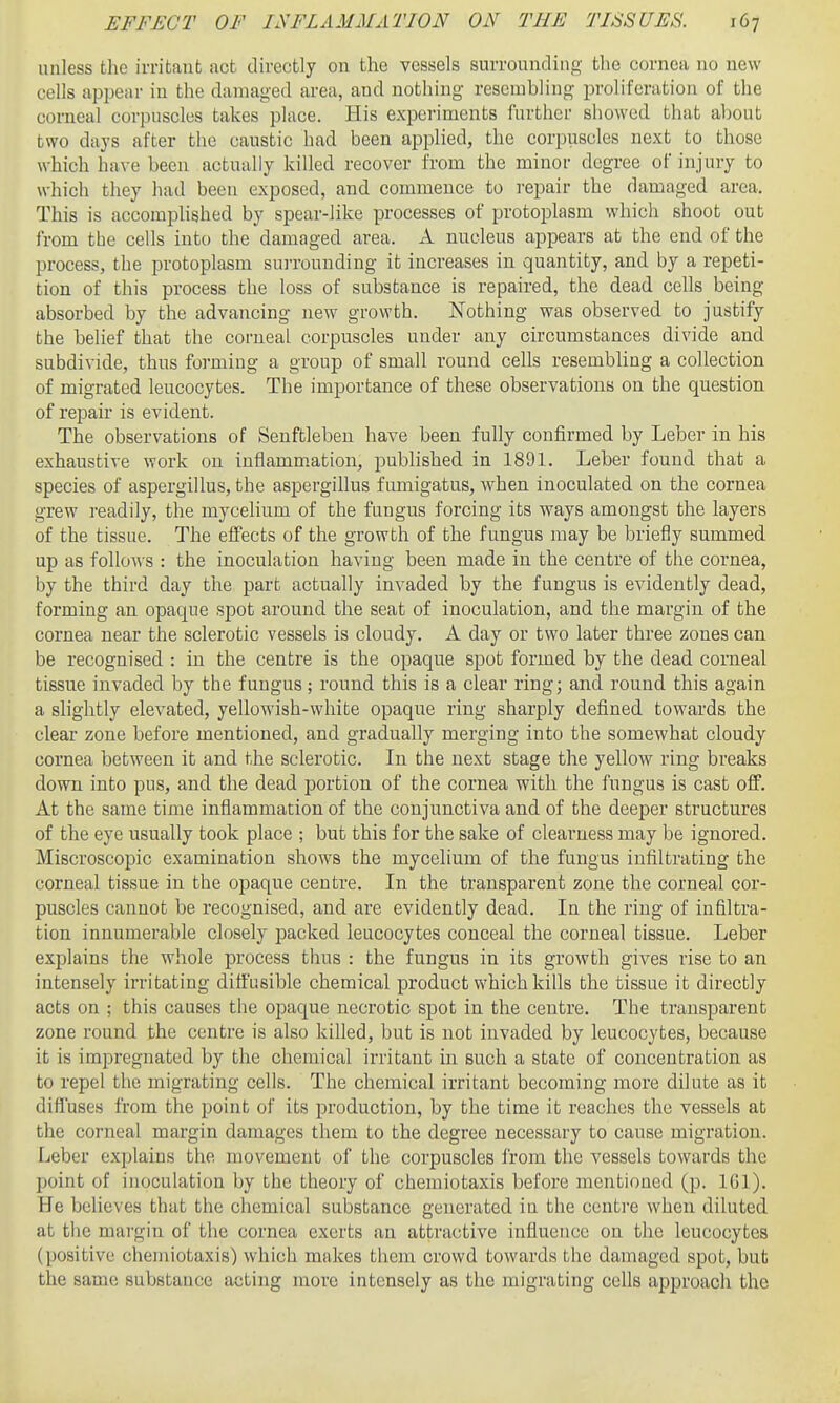 unless the irritant act directly on the vessels surrounding tlie cornea no new cells appear in the damaged area, and nothing resembling proliferation of the corneal corpuscles takes place. His experiments further showed that about two days after the caustic had been applied, the corpuscles next to those which have been actually killed recover from the minor degree of injury to which they had been exposed, and commence to repair the damaged area. This is accomplished by spear-like processes of protoplasm which shoot out from the cells into the damaged area. A nucleus appears at the end of the process, the ]3rotoplasm suiTouuding it increases in quantity, and by a repeti- tion of this process the loss of substance is repaired, the dead cells being absorbed by the advancing new growth. Nothing was observed to justify the belief that the corneal corpuscles under any circumstances divide and subdivide, thus foi-ming a group of small round cells resembling a collection of migrated leucocytes. The importance of these observations on the question of repair is evident. The observations of Senftleben have been fully confirmed by Leber in his exhaustive work on inflamm.ation, published in 1891. Leber found that a species of aspergillus, the aspergillus fumigatus, when inoculated on the cornea grew readily, the mycelium of the fungus forcing its ways amongst the layers of the tissue. The effects of the growth of the fungus may be briefly summed up as follows : the inoculation having been made in the centre of the cornea, by the third day the part actually invaded by the fungus is evidently dead, forming an opaque spot around the seat of inoculation, and the margin of the cornea near the sclerotic vessels is cloudy. A day or two later three zones can be recognised : in the centre is the opaque spot formed by the dead corneal tissue invaded by the fungus; round this is a clear ring; and round this again a slightly elevated, yellowish-white opaque ring sharply defined towards the clear zone before mentioned, and gradually merging into the somewhat cloudy cornea between it and the sclerotic. In the next stage the yellow ring breaks down into pus, and the dead portion of the cornea with the fungus is cast off. At the same time inflammation of the conjunctiva and of the deeper structures of the eye usually took place ; but this for the sake of clearness may be ignored. Miscroscopic examination shows the mycelium of the fungus infiltrating the corneal tissue in the opaque centre. In the transparent zone the corneal cor- puscles cannot be recognised, and are evidently dead. In the ring of infiltra- tion innumerable closely packed leucocytes conceal the corneal tissue. Leber explains the whole process thus : the fungus in its growth gives rise to an intensely irritating diffusible chemical product which kills the tissue it directly acts on ; this causes the opaque necrotic spot in the centre. The transparent zone round the centre is also killed, but is not invaded by leucocytes, because it is impregnated by the chemical irritant in such a state of concentration as to repel the migrating cells. The chemical irritant becoming more dilute as it difl'uses from the point of its production, by the time it reaches the vessels at the corneal margin damages them to the degree necessary to cause migration. Leber explains the movement of the corpuscles from the vessels towards the point of inoculation by the theory of chemiotaxis before mentioned (p. 161). He believes that the chemical substance generated in the ccnti'e when diluted at the margin of the cornea exerts an attractive influence on the leucocytes (positive chemiotaxis) which makes them crowd towards the damaged spot, but the same substance acting more intensely as the migrating cells approach the