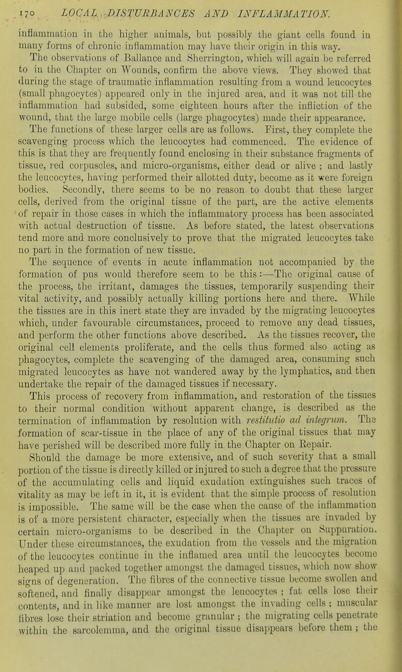 inflammation in the higher animals, but possibly the giant cells found in many forms of chronic inflammation may have their origin in this way. The observations of Ballauce and Sherrington, which will again be referred to in the Chapter on Wounds, confirm the above views. They showed that during the stage of traumatic inflammation resulting from a wound leucocytes (small phagocytes) appeared only in the injured area, and it was not till the inflammation had subsided, some eighteen hours after the infliction of the wound, that the large mobile cells (large phagocytes) made their appearance. The functions of these larger cells are as follows. First, they complete the scavenging process which the leucocytes had commenced. The evidence of this is that they are frequently found enclosing in their substance fragments of tissue, red corpuscles, and micro-organisms, either dead or alive ; and lastly the leucocytes, having performed their allotted duty, become as it were foreign bodies. Secondly, there seems to be no reason to doubt that these larger cells, derived from the original tissue of the part, are the active elements of repair in those cases in Avhich the inflammatory process has been associated with actual destruction of tissue. As before stated, the latest observations tend more and more conclusively to prove that the migrated leucocytes take no part in the formation of new tissue. The sequence of events in acute inflammation not accompanied by the formation of pus would therefore seem to be this :—The original cause of the process, the irritant, damages the tissues, temporarily suspending their vital activity, and possibly actually killing portions here and there. While the tissues are in this inert state they are invaded by the migrating leucocytes which, under favourable circumstances, proceed to remove any dead tissues, and perform the other functions above described. As the tissues recover, the original cell elements proliferate, and the cells thus formed also acting as phagocytes, complete the scavenging of the damaged area, consuming such migrated leucocytes as have not wandered away by the lymphatics, and then undertake the repair of the damaged tissues if necessary. This process of recovery from inflammation, and restoration of the tissues to their normal condition without apparent change, is described as the termination of inflammation by resolution with restitutio ad integrum. The formation of scar-tissue in the place of any of the original tissues that may have perished will be described more fully in the Chapter on Repair. Should the damage be more extensive, and of such severity that a small portion of the tissue is directly killed or injured to such a degree that the pressure of the accumulating cells and liquid exudation extinguishes such traces of vitality as may be left in it, it is evident that the simple process of resolution is impossible. The same will be the case when the cause of the inflammation is of a more persistent character, especially when the tissues are invaded by certain micro-orgaiiisms to be described in the Chapter on Suppuration. Under these circumstances, the exudation from the vessels and the migration of the leucocytes continue in the inflamed area until the leucocytes become heaped up and packed together amongst the damaged tissues, which now show signs of degeneration. The fibres of the connective tissue become swollen and softened, and finally disappear amongst the leucocytes ; fat cells lose their contents, and in like manner are lost amongst the invading cells ; muscular fibres lose their striation and become granular ; the migrating cells penetrate within the sarcolemraa, and the original tissue disappears before them ; the