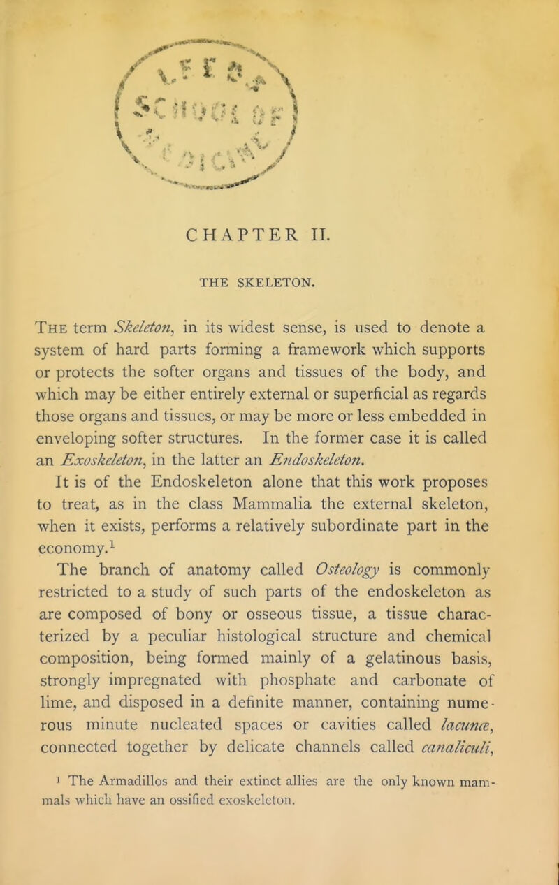 THE SKELETON. The term Skeleton, in its widest sense, is used to denote a system of hard parts forming a framework which supports or protects the softer organs and tissues of the body, and which may be either entirely external or superficial as regards those organs and tissues, or may be more or less embedded in enveloping softer structures. In the former case it is called an Exoskeletofi, in the latter an Endoskeletofi. It is of the Endoskeleton alone that this work proposes to treat, as in the class Mammalia the external skeleton, when it exists, performs a relatively subordinate part in the economy.^ The branch of anatomy called Osteology is commonly restricted to a study of such parts of the endoskeleton as are composed of bony or osseous tissue, a tissue charac- terized by a peculiar histological structure and chemical composition, being formed mainly of a gelatinous basis, strongly impregnated with phosphate and carbonate of lime, and disposed in a definite manner, containing nume- rous minute nucleated spaces or cavities called lacunee, connected together by delicate channels called canaliculi, 1 The Armadillos and their extinct allies are the only known mam- mals which have an ossified exoskeleton.