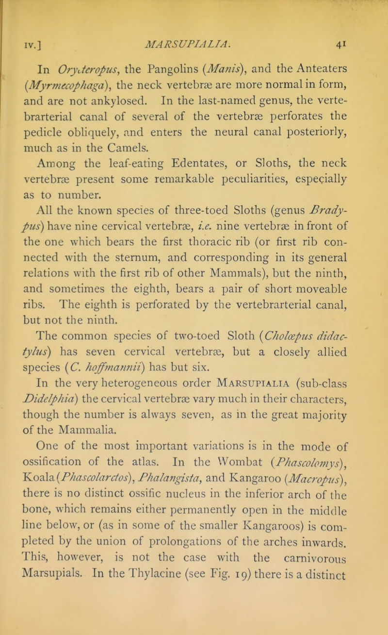 In OryJeropus, the Pangolins {Manis), and the Anteaters {Myrmecophaga), the neck vertebrje are more normal in form, and are not ankylosed. In the last-named genus, the verte- brarterial canal of several of the vertebra perforates the pedicle obliquely, and enters the neural canal posteriorly, much as in the Camels. Among the leaf-eating Edentates, or Sloths, the neck vertebrae present some remarkable peculiarities, especially as to number. All the known species of three-toed Sloths (genus Brady- ptis) have nine cervical vertebrae, i.e. nine vertebrae in front of the one which bears the first thoracic rib (or first rib con- nected with the sternum, and corresponding in its general relations with the first rib of other Mammals), but the ninth, and sometimes the eighth, bears a pair of short moveable ribs. The eighth is perforated by the vertebrarterial canal, but not the ninth. The common species of two-toed Sloth [C/ioloepus didac- tylus) has seven cervical vertebrae, but a closely allied species (C hoffmannii) has but six. In the very heterogeneous order Marsupialia (sub-class Didelphid) the cervical vertebrae vary much in their characters, though the number is always seven, as in the great majority of the Mammalia. One of the most important variations is in the mode of ossification of the atlas. In the Wombat {Phascolomys)^ 'K.oz\a.{Phascolarctos),Fhalafigista, and Kangaroo {Macropiis), there is no distinct ossific nucleus in the inferior arch of the bone, which remains either permanently open in the middle line below, or (as in some of the smaller Kangaroos) is com- pleted by the union of prolongations of the arches inwards. This, however, is not the case with tlie carnivorous Marsupials. In the Thylacine (see Fig. 19) there is a distinct