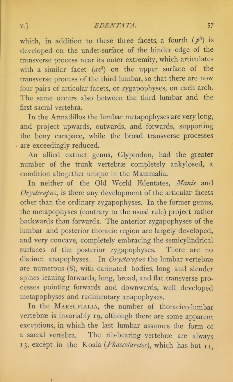 which, in addition to these three facets, a fourth (/^) is developed on the under-surface of the hinder edge of the transverse process near its outer extremity, which articulates with a similar facet {az^) on the upper surface of the transverse process of the third lumbar, so that there are now four pairs of articular facets, or zygapophyses, on each arch. The same occurs also between the third lumbar and the first sacral vertebra. In the Armadillos the lumbar metapophyses are very long, and project upwards, outwards, and forwards, supporting the bony carapace, while the broad transverse processes - are exceedingly reduced. An allied extinct genus, Glyptodon, had the greater number of the trunk vertebrae completely ankylosed, a condition altogether unique in the Mammalia. In neither of the Old World Edentates, Manis and Orycicfopus, is there any development of the articular facets other than the ordinary zygapophyses. In the former genus, the metapophyses (contrary to the usual rule) project rather backwards than forwards. The anterior zygapophyses of the lumbar and posterior thoracic region are largely developed, and very concave, completely embracing the semicylindrical surfaces of the posterior zygapophyses. There are no distinct anapophyses. In Oryctcropus the lumbar vertebra are numerous (8), with carinated bodies, long and slender spines leaning forwards, long, broad, and flat transverse pro- cesses pointing forwards and downwards, well developed metapophyses and rudimentary anapophyses. In the Marsupialia, the number of thoracico-lumbar vertebrae is invariably 19, although there are some apparent exceptions, in which the last lumbar assumes the form of a sacral vertebra. The rib-bearing vertebras are always 13, except in the Koala {Phascolarctos)^ which has but 11,