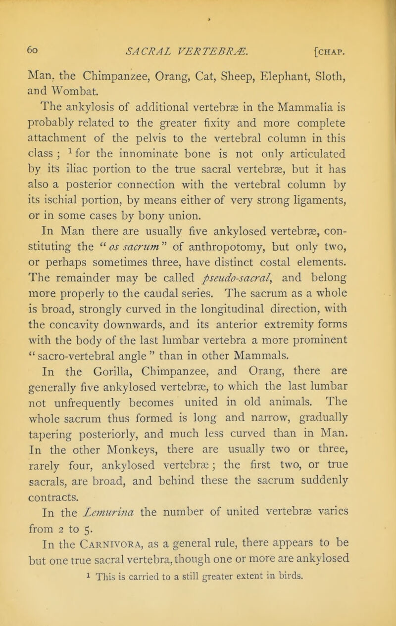 Man. the Chimpanzee, Orang, Cat, Sheep, Elephant, Sloth, and Wombat. The ankylosis of additional vertebrae in the Mammalia is probably related to the greater fixity and more complete attachment of the pelvis to the vertebral column in this class ; ^ for the innominate bone is not only articulated by its iliac portion to the true sacral vertebrse, but it has also a posterior connection with the vertebral column by its ischial portion, by means either of very strong ligaments, or in some cases by bony union. In Man there are usually five ankylosed vertebra, con- stituting the  OS sacrum  of anthropotomy, but only two, or perhaps sometimes three, have distinct costal elements. The remainder may be called pseudo-sacral, and belong more properly to the caudal series. The sacrum as a whole is broad, strongly curved in the longitudinal direction, with the concavity downwards, and its anterior extremity forms with the body of the last lumbar vertebra a more prominent  sacro-vertebral angle  than in other Mammals. In the Gorilla, Chimpanzee, and Orang, there are generally five ankylosed vertebrae, to which the last lumbar not unfrequently becomes united in old animals. The whole sacrum thus formed is long and narrow, gradually tapering posteriorly, and much less curved than in Man. In the other Monkeys, there are usually two or three, rarely four, ankylosed vertebnTe; the first two, or true sacrals, are broad, and behind these the sacrum suddenly contracts. In the Letnurma the number of united vertebrae varies from 2 to 5. In the Carnivora, as a general rule, there appears to be but one true sacral vertebra, though one or more are ankylosed 1 This is carried to a still greater extent in birds.