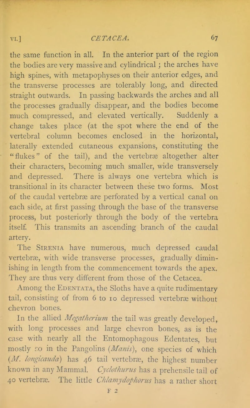 the same function in all. In the anterior part of the region the bodies are very massive and cylindrical; the arches have high spines, with metapophyses on their anterior edges, and the transverse processes are tolerably long, and directed straight outwards. In passing backwards the arches and all the processes gradually disappear, and the bodies become much compressed, and elevated vertically. Suddenly a change takes place (at the spot where the end of the vertebral column becomes enclosed in the horizontal, laterally extended cutaneous expansions, constituting the flukes of the tail), and the vertebrae altogether alter their characters, becoming much smaller, wide transversely and depressed. There is always one vertebra which is transitional in its character between these two forms. Most of the caudal vertebrae are perforated by a vertical canal on each side, at first passing through the base of the transverse process, but posteriorly through the body of the vertebra itself This transmits an ascending branch of the caudal artery. The SiRENiA have numerous, much depressed caudal vertebrae, with wide transverse processes, gradually dimin- ishing in length from the commencement towards the apex. They are thus very different from those of the Cetacea. Among the Edentata, the Sloths have a quite rudimentary tail, consisting of from 6 to 10 depressed vertebrae without chevron bones. In the alUed Megatherium the tail was greatly developed, with long processes and large chevron bones, as is the case with nearly all the Entomophagous Edentates, but mostly ro in the Pangolins {Manis), one species of which {M. lo7igicauda) has 46 tail vertebrae, the highest number known in any Mammal. Cyclothiirus has a prehensile tail of 40 vertebras. The little Chlainydophorus has a rather short F 2