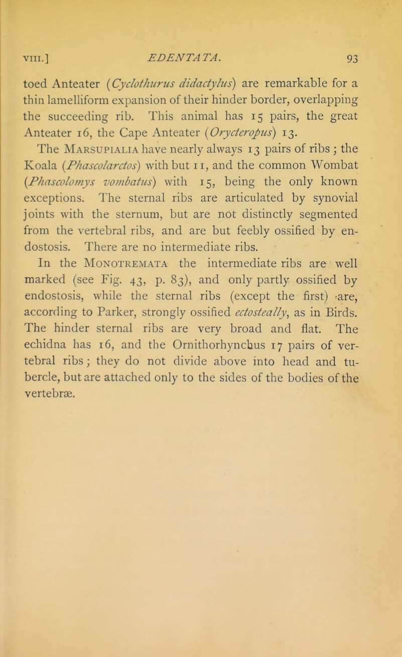 toed Anteater [Cyclothurtis didadylus) are remarkable for a thin lamelliform expansion of their hinder border, overlapping the succeeding rib. This animal has 15 pairs, the great Anteater 16, the Cape Anteater {Oryderopus) 13. The Marsupialia have nearly always 13 pairs of ribs ; the Koala iyPhascolardos) with but 11, and the common Wombat {Phascolomys vombatus) with 15, being the only known exceptions. The sternal ribs are articulated by synovial joints with the sternum, but are not distinctly segmented from the vertebral ribs, and are but feebly ossified by en- dostosis. There are no intermediate ribs. In the MoNOTREMATA the intermediate ribs are well marked (see Fig. 43, p. 83), and only partly ossified by endostosis, while the sternal ribs (except the first) -are, according to Parker, strongly ossified edosteally, as in Birds. The hinder sternal ribs are very broad and flat. The echidna has 16, and the Ornithorhyncbus 17 pairs of ver- tebral ribs; they do not divide above into head and tu- bercle, but are attached only to the sides of the bodies of the vertebrae.