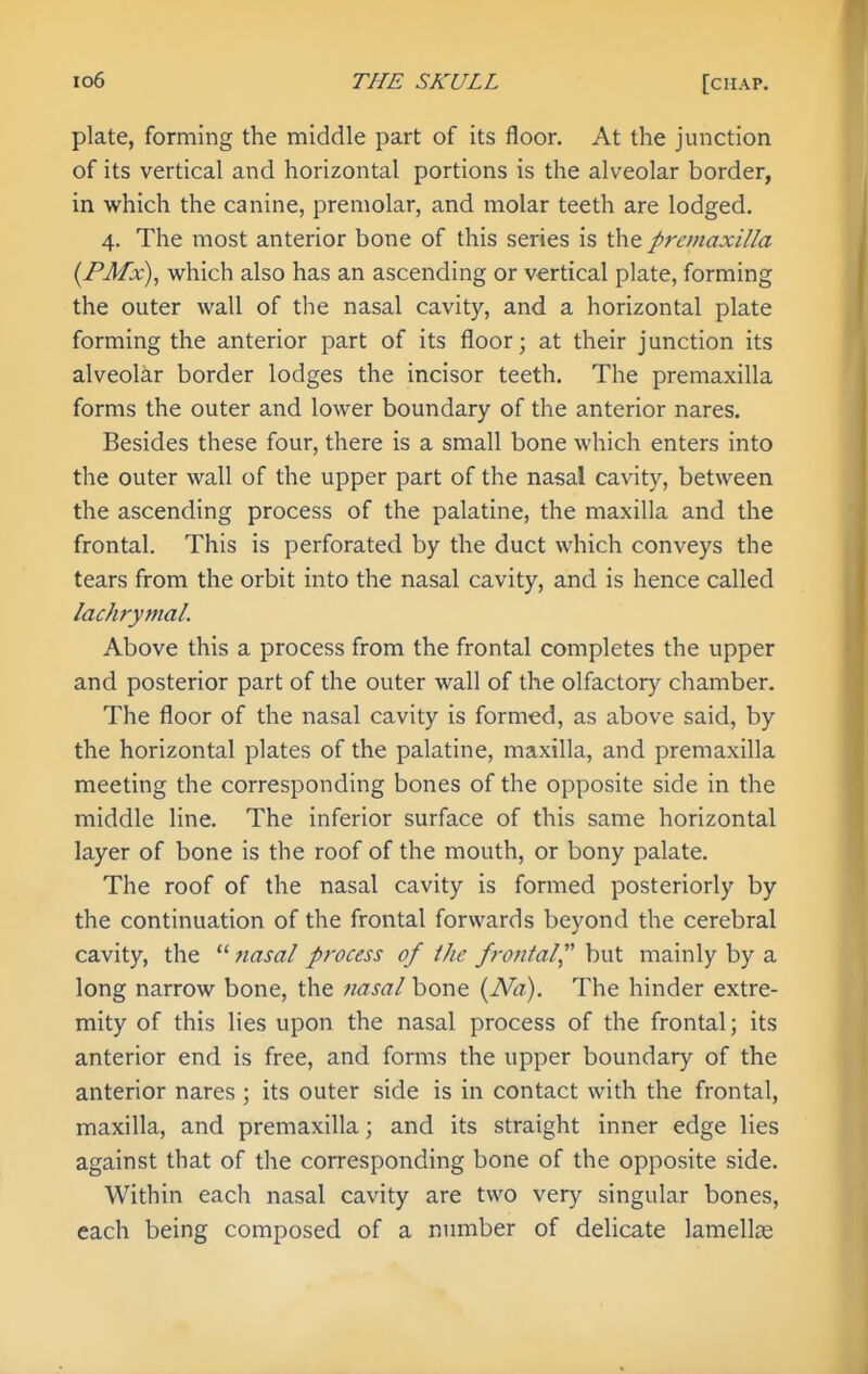 plate, forming the middle part of its floor. At the junction of its vertical and horizontal portions is the alveolar border, in which the canine, premolar, and molar teeth are lodged. 4. The most anterior bone of this series is the premaxilla [FMx), which also has an ascending or vertical plate, forming the outer wall of the nasal cavity, and a horizontal plate forming the anterior part of its floor; at their junction its alveolar border lodges the incisor teeth. The premaxilla forms the outer and lower boundary of the anterior nares. Besides these four, there is a small bone which enters into the outer wall of the upper part of the nasal cavity, between the ascending process of the palatine, the maxilla and the frontal. This is perforated by the duct which conveys the tears from the orbit into the nasal cavity, and is hence called lachrymal. Above this a process from the frontal completes the upper and posterior part of the outer wall of the olfactory chamber. The floor of the nasal cavity is formed, as above said, by the horizontal plates of the palatine, maxilla, and premaxilla meeting the corresponding bones of the opposite side in the middle line. The inferior surface of this same horizontal layer of bone is the roof of the mouth, or bony palate. The roof of the nasal cavity is formed posteriorly by the continuation of the frontal forwards beyond the cerebral cavity, the  fiasal process of the frojital but mainly by a long narrow bone, the nasal bone {Na). The hinder extre- mity of this lies upon the nasal process of the frontal; its anterior end is free, and forms the upper boundary of the anterior nares; its outer side is in contact with the frontal, maxilla, and premaxilla; and its straight inner edge lies against that of the corresponding bone of the opposite side. Within each nasal cavity are two very singular bones, each being composed of a number of delicate lamellae