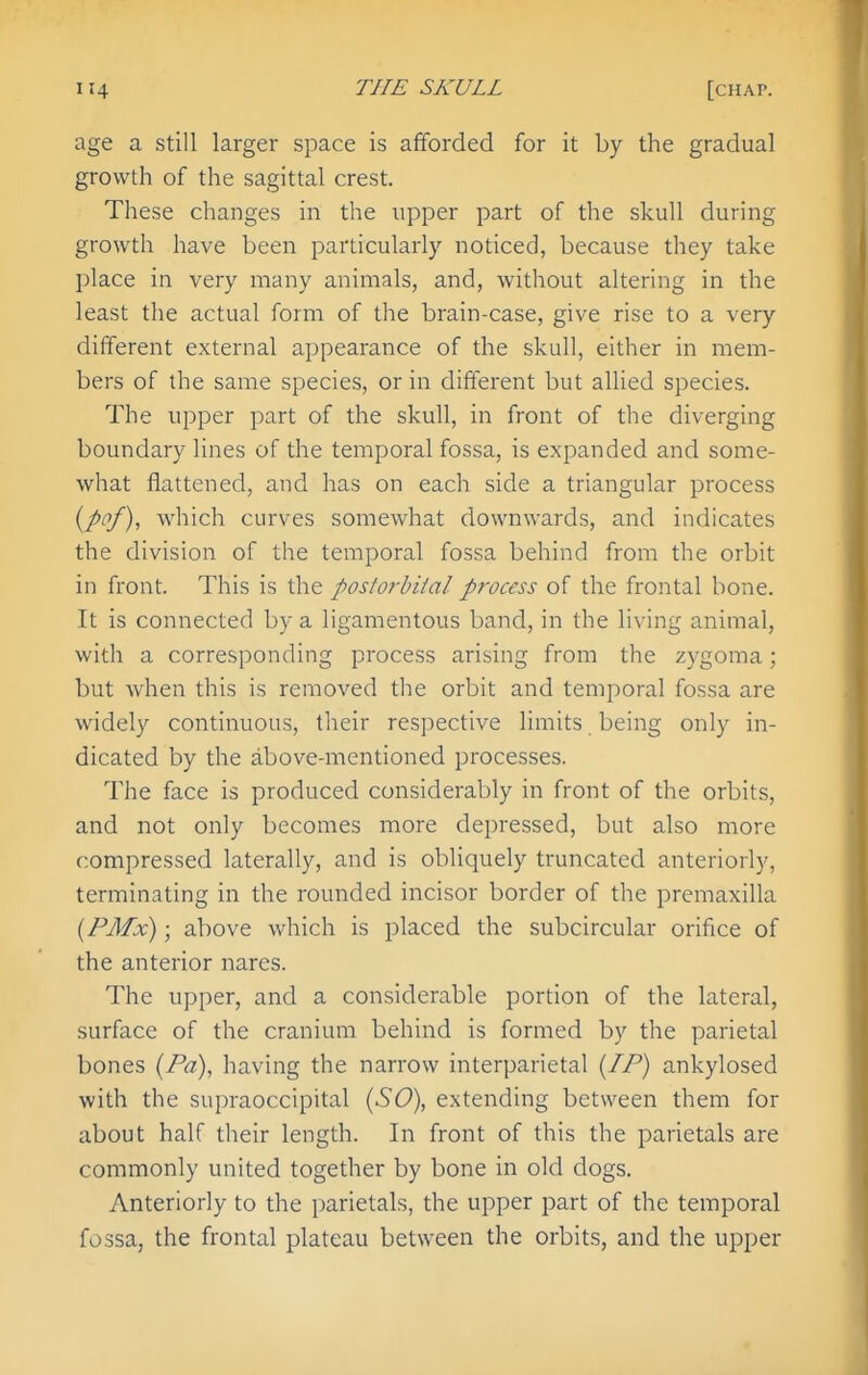 age a still larger space is afforded for it by the gradual growth of the sagittal crest. These changes in the upper part of the skull during growth have been particularly noticed, because they take place in very many animals, and, without altering in the least the actual form of the brain-case, give rise to a very different external appearance of the skull, either in mem- bers of the same species, or in different but allied species. The upper part of the skull, in front of the diverging boundary lines of the temporal fossa, is expanded and some- what flattened, and has on each side a triangular process {pof), which curves somewhat downwards, and indicates the division of the temporal fossa behind from the orbit in front. This is the postorhiial process of the frontal bone. It is connected by a ligamentous band, in the living animal, with a corresponding process arising from the zygoma; but when this is removed the orbit and temporal fossa are widely continuous, their respective limits being only in- dicated by the above-mentioned processes. The face is produced considerably in front of the orbits, and not only becomes more depressed, but also more compressed laterally, and is obliquely truncated anteriorly, terminating in the rounded incisor border of the premaxilla {PMx); above which is placed the subcircular orifice of the anterior nares. The upper, and a considerable portion of the lateral, surface of the cranium behind is formed by the parietal bones (Pa), having the narrow interparietal {IP) ankylosed with the supraoccipital {SO), extending between them for about half their length. In front of this the parietals are commonly united together by bone in old dogs. Anteriorly to the parietals, the upper part of the temporal fossa, the frontal plateau between the orbits, and the upper