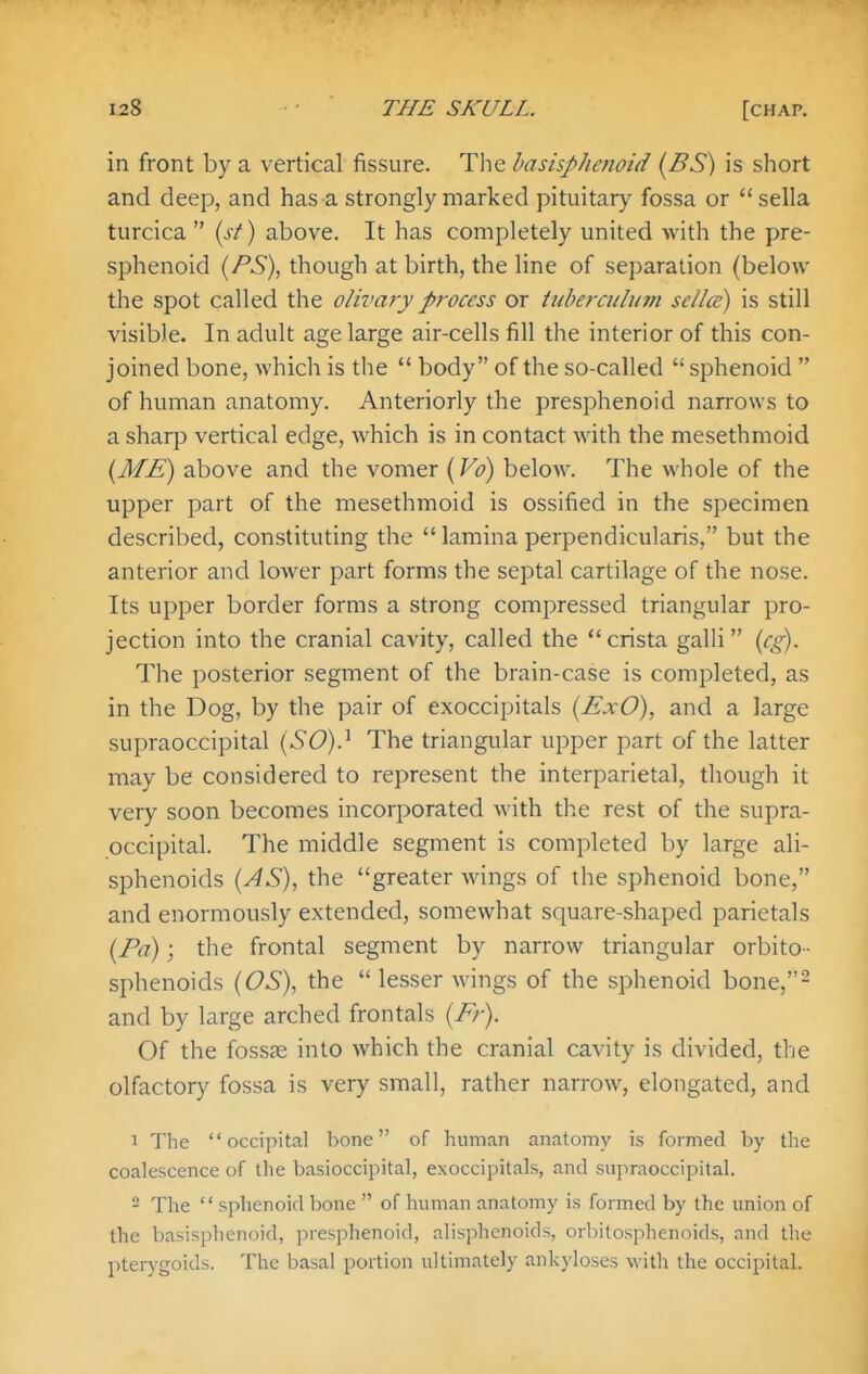in front by a vertical fissure. The hasisphenoid (BS) is short and deep, and has a strongly marked pituitary fossa or sella turcica  (s^) above. It has completely united with the pre- sphenoid (PS), though at birth, the line of separation (below the spot called the olivary process or tidyerculum sellce) is still visible. In adult age large air-cells fill the interior of this con- joined bone, which is the  body of the so-called  sphenoid  of human anatomy. Anteriorly the presphenoid narrows to a sharp vertical edge, which is in contact with the mesethmoid {ME) above and the vomer {Vo) below. The whole of the upper part of the mesethmoid is ossified in the specimen described, constituting the lamina perpendicularis, but the anterior and lower part forms the septal cartilage of the nose. Its upper border forms a strong compressed triangular pro- jection into the cranial cavity, called the  crista galli {eg). The posterior segment of the brain-case is completed, as in the Dog, by the pair of exoccipitals {ExO), and a large supraoccipital {SO).^ The triangular upper part of the latter may be considered to represent the interparietal, though it very soon becomes incorporated with the rest of the supra- occipital. The middle segment is completed by large ali- sphenoids {AS), the greater wings of the sphenoid bone, and enormously extended, somewhat square-shaped parietals {Pa); the frontal segment by narrow triangular orbito - sphenoids {OS), the  lesser wings of the sphenoid bone,^ and by large arched frontals {Fr). Of the fossae into which the cranial cavity is divided, the olfactory fossa is very small, rather narrow, elongated, and 1 The occipital bone of human anatomy is formed by the coalescence of the basioccipital, exoccipitals, and supraoccipital. - The  sphenoid bone  of human anatomy is formed by the union of the basisphenoid, presphenoid, alisphenoids, orbitosphenoids, and the pterygoids. The basal portion ultimately ankyloses with the occipital.