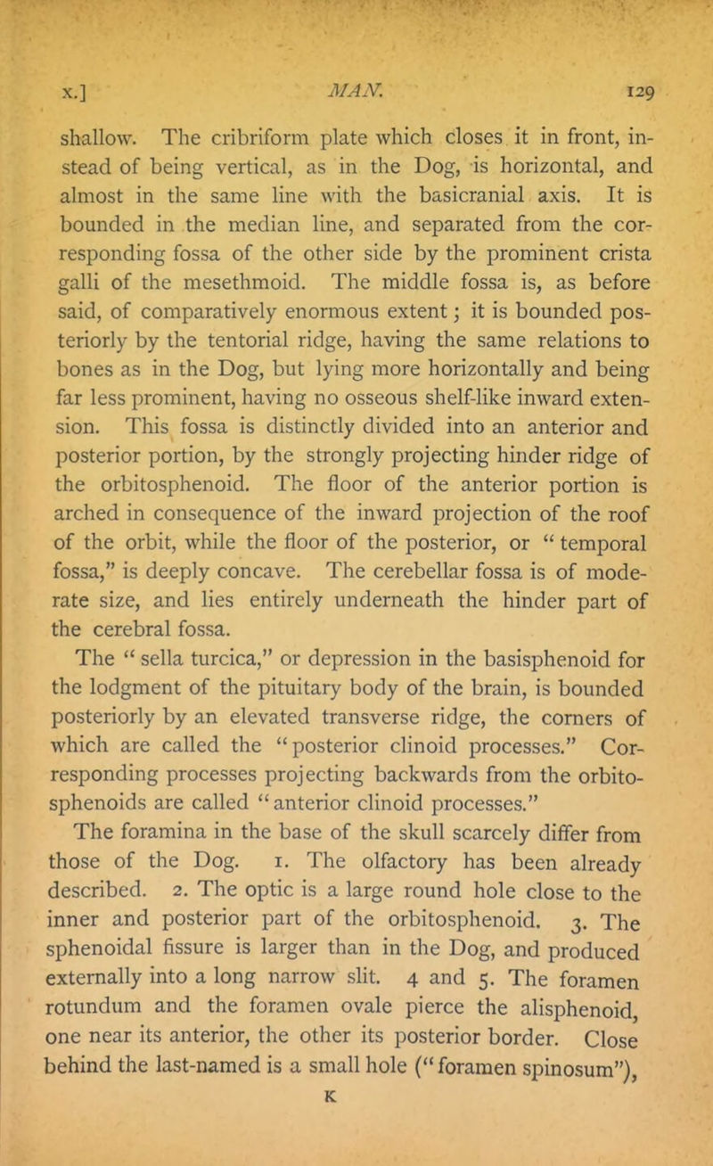 shallow. The cribriform plate which closes it in front, in- stead of being vertical, as in the Dog, is horizontal, and almost in the same line with the basicranial axis. It is bounded in the median line, and separated from the cor- responding fossa of the other side by the prominent crista galli of the mesethmoid. The middle fossa is, as before said, of comparatively enormous extent; it is bounded pos- teriorly by the tentorial ridge, having the same relations to bones as in the Dog, but lying more horizontally and being far less prominent, having no osseous shelf-like inward exten- sion. This fossa is distinctly divided into an anterior and posterior portion, by the strongly projecting hinder ridge of the orbitosphenoid. The floor of the anterior portion is arched in consequence of the inward projection of the roof of the orbit, while the floor of the posterior, or  temporal fossa, is deeply concave. The cerebellar fossa is of mode- rate size, and lies entirely underneath the hinder part of the cerebral fossa. The  sella turcica, or depression in the basisphenoid for the lodgment of the pituitary body of the brain, is bounded posteriorly by an elevated transverse ridge, the corners of which are called the posterior clinoid processes. Cor- responding processes projecting backwards from the orbito- sphenoids are called anterior clinoid processes. The foramina in the base of the skull scarcely differ from those of the Dog. i. The olfactory has been already described. 2. The optic is a large round hole close to the inner and posterior part of the orbitosphenoid. 3. The sphenoidal fissure is larger than in the Dog, and produced externally into a long narrow slit. 4 and 5. The foramen rotundum and the foramen ovale pierce the alisphenoid, one near its anterior, the other its posterior border. Close behind the last-named is a small hole ( foramen spinosum), K