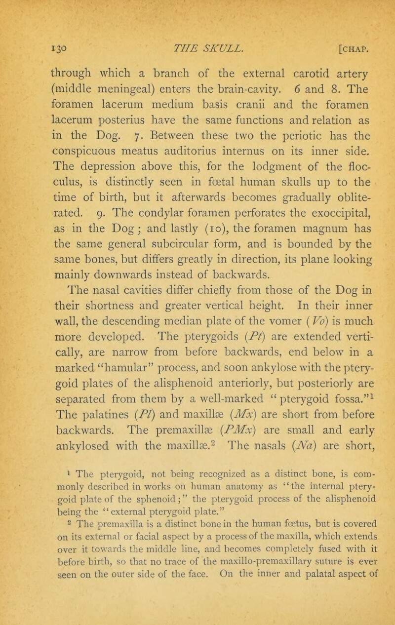 through which a branch of the external carotid artery (middle meningeal) enters the brain-cavity. 6 and 8. The foramen lacerum medium basis cranii and the foramen lacerum posterius have the same functions and relation as in the Dog. 7. Between these two the periotic has the conspicuous meatus auditorius internus on its inner side. The depression above this, for the lodgment of the floc- culus, is distinctly seen in fretal human skulls up to the time of birth, but it afterwards becomes gradually oblite- rated. 9. The condylar foramen perforates the exoccipital, as in the Dog; and lastly (10), the foramen magnum has the same general subcircular form, and is bounded by the same bones, but differs greatly in direction, its plane looking mainly downwards instead of backwards. The nasal cavities differ chiefly from those of the Dog in their shortness and greater vertical height. In their inner wall, the descending median plate of the vomer ( Vo) is much more developed. The pterygoids {Pt) are extended verti- cally, are narrow from before backwards, end below in a marked hamular process, and soon ankylose with the ptery- goid plates of the alisphenoid anteriorly, but posteriorly are separated from them by a well-marked pterygoid fossa.^ The palatines {PI) and maxillae {Afx) are short from before backwards. The premaxillae {PMx) are small and early ankylosed with the maxilla;.- The nasals {No) are short, 1 The pterygoid, not being recognized as a distinct bone, is com- monly described in works on human anatomy as the internal ptery- goid plate of the sphenoid ; the pterygoid process of the alisphenoid being the external pterygoid plate. 2 The premaxilla is a distinct bone in the human foetus, but is covered on its external or facial aspect by a process of the maxilla, which extends over it towards tlie middle line, and becomes completely fused with it before birth, so that no trace of the maxillo-premaxillaiy suture is ever seen on the outer side of the face. On the inner and palatal aspect of