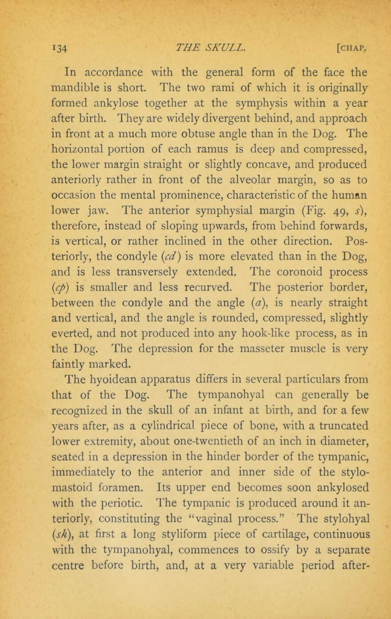 In accordance with the general form of the face the mandible is short. The two rami of which it is originally formed ankylose together at the symphysis within a year after birth. They are widely divergent behind, and approach in front at a much more obtuse angle than in the Dog. The horizontal portion of each ramus is deep and compressed, the lower margin straight or slightly concave, and produced anteriorly rather in front of the alveolar margin, so as to occasion the mental prominence, characteristic of the human lower jaw. The anterior symphysial margin (Fig. 49, s), therefore, instead of sloping upwards, from behind forwards, is vertical, or rather inclined in the other direction. Pos- teriorly, the condyle {cd) is more elevated than in the Dog, and is less transversely extended. The coronoid process {cp) is smaller and less recurved. The posterior border, between the condyle and the angle {a\ is nearly straight and vertical, and the angle is rounded, compressed, slightly everted, and not produced into any hook-like process, as in the Dog. The depression for the masseter muscle is very faintly marked. The hyoidean apparatus differs in several particulars from that of the Dog. The tympanohyal can generally be recognized in the skull of an infant at birth, and for a few years after, as a cylindrical piece of bone, with a truncated lower extremity, about one-twentieth of an inch in diameter, seated in a depression in the hinder border of the tympanic, immediately to the anterior and inner side of the stylo- mastoid foramen. Its upper end becomes soon ankylosed with the periotic. The tympanic is produced around it an- teriorly, constituting the vaginal process, The stylohyal at first a long styliform piece of cartilage, continuous with the tympanohyal, commences to ossify by a separate centre before birth, and, at a very variable period after-