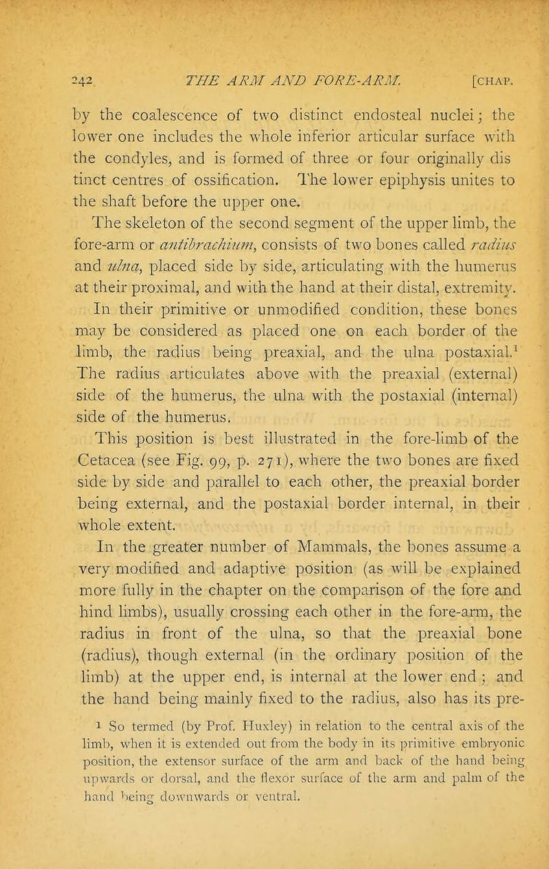 by the coalescence of two distinct endosteal nuclei; the lower one includes the whole inferior articular surface with the condyles, and is formed of three or four originally dis tinct centres of ossification. I'he lower epiphysis unites to the shaft before the upper one. The skeleton of the second segment of the upper limb, the fore-arm or aniibrachium, consists of two bones called radius and ulna, placed side by side, articulating with the humerus at their proximal, and with the hand at their distal, extremity. In their primitive or unmodified condition, these bones may be considered as placed one on each border of the limb, the radius being preaxial, and the ulna postaxial.^ The radius articulates above with the preaxial (external) side of the humerus, the ulna with the postaxial (internal) side of the humerus. This position is best illustrated in the fore-limb of the Cetacea (see Fig. 99, p. 271), where the two bones are fixed side by side and parallel to each other, the preaxial border being external, and the postaxial border internal, in their whole extent. In the greater number of Mammals, the bones assume a very modified and adaptive position (as will be explained more fully in the chapter on the comparison of the fore and hind hmbs), usually crossing each other in the fore-ann, the radius in front of the ulna, so that the preaxial bone (radius), though external (in the ordinary position of the limb) at the upper end, is internal at the lower end ; and the hand being mainly fixed to the radius, also has its pre- 1 So termed (by Prof. Huxley) in relation to the central axis of the limb, wlien it is extended out from the body in its ])rimitive emljryonic position, the extensor surface of the arm and back of the hand being upwards or dorsal, and tlic ilexor surface of the arm and pahn of the hand being downwartls or Neutral.