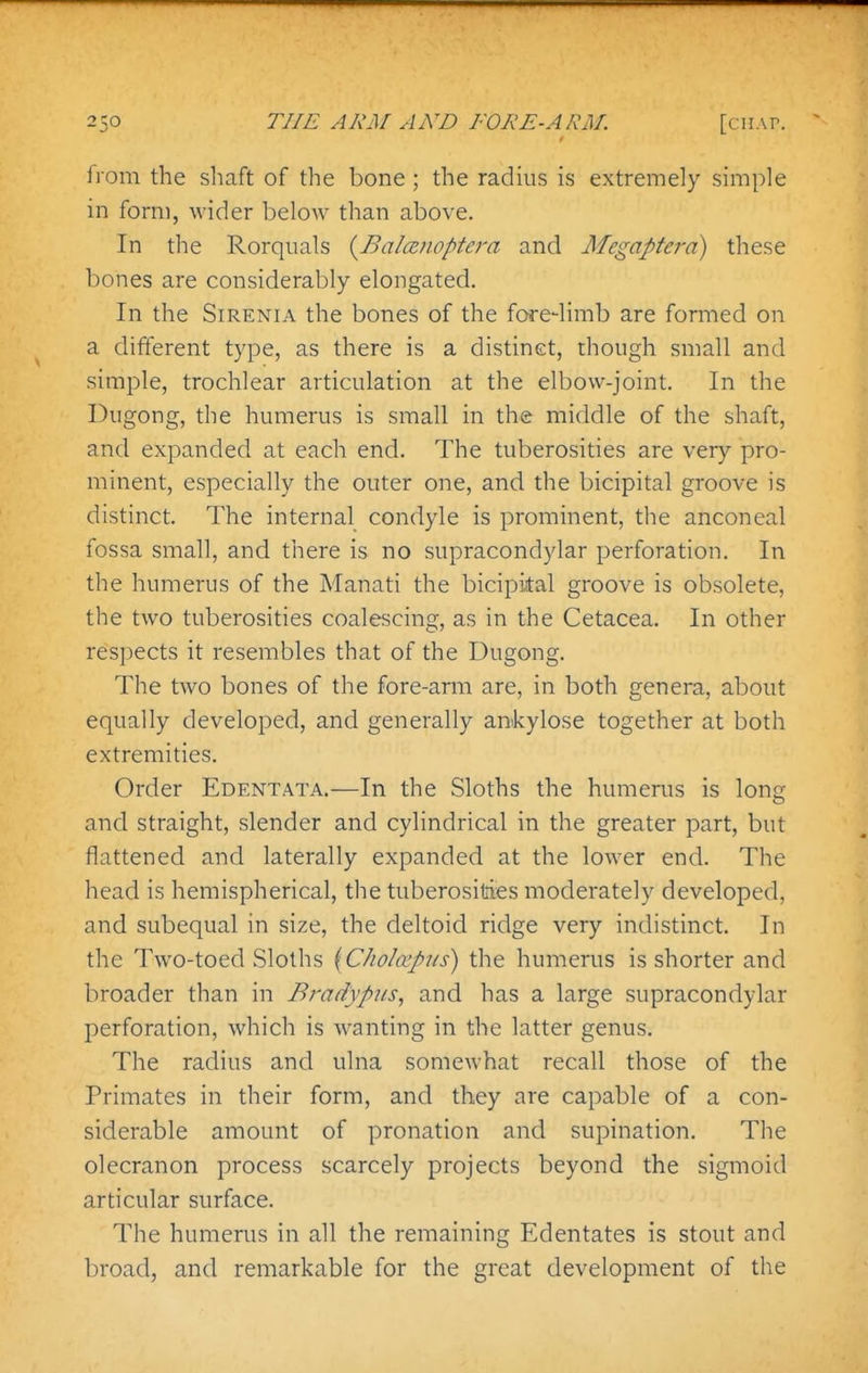 from the shaft of the bone; the radius is extremely simple in form, wider below than above. In the Rorquals {Balce?ioptera and Megapterd) these bones are considerably elongated. In the SiRENiA the bones of the fore-limb are formed on a different type, as there is a distinct, though small and simple, trochlear articulation at the elbow-joint. In the Dugong, the humerus is small in the middle of the shaft, and expanded at each end. The tuberosities are very pro- minent, especially the outer one, and the bicipital groove is distinct. The internal condyle is prominent, the anconeal fossa small, and there is no supracondylar perforation. In the humerus of the Manati the bicipital groove is obsolete, the two tuberosities coalescing, as in the Cetacea. In other respects it resembles that of the Dugong. The two bones of the fore-arm are, in both genera, about equally developed, and generally ankylose together at both extremities. Order Edentata.—In the Sloths the humerus is long and straight, slender and cylindrical in the greater part, but flattened and laterally expanded at the lower end. The head is hemispherical, the tuberosities moderately developed, and subequal in size, the deltoid ridge very indistinct. In the Two-toed Sloths (Cholcepus) the humerus is shorter and broader than in Bradypus, and has a large supracondylar perforation, which is wanting in the latter genus. The radius and ulna somewhat recall those of the Primates in their form, and they are capable of a con- siderable amount of pronation and supination. The olecranon process scarcely projects beyond the sigmoid articular surface. The humerus in all the remaining Edentates is stout and broad, and remarkable for the great development of the