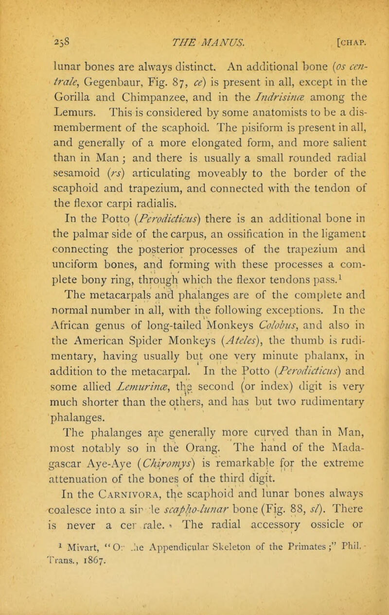 lunar bones are always distinct. An additional bone [os ccn- irale, Gegenbaur, Fig. 87, ce) is present in all, except in the Gorilla and Chimpanzee, and in the Indrisiiice among the Lemurs. This is considered by some anatomists to be a dis- memberment of the scaphoid. The pisiform is present in all, and generally of a more elongated form, and more salient than in Man ; and there is usually a small rounded radial sesamoid {rs) articulating moveably to the border of the scaphoid and trapezium, and connected with the tendon of the flexor carpi radialis. In the Potto {Pcrodidicus) there is an additional bone in the palmar side of the carpus, an ossification in the ligament connecting the posterior processes of the trapezium and unciform bones, and forming with these processes a com- plete bony ring, through which the flexor tendons pass.^ The metacarpals and phalanges are of the complete and normal number in all, with the following exceptions. In the African genus of long-tailed Monkeys Colobiis, and also in the American Spider Monkeys {Ateles), the thumb is rudi- mentary, having usually but one very minute phalanx, in addition to the metacarpal. In the Potto {Ferodicticus) and some allied Lemurina;, ths second (or index) digit is very much shorter than the others, and has but two rudimentary phalanges. The phalanges ai:e generally more curved than in Man, most notably so in the Orang. The hand of the INIada- gascar Aye-Aye [Chirofii^s) is remarkable for the extreme attenuation of the bones of the third digit. In the Carnivora, the scaphoid and lunar bones always coalesce into a sir le scapJio-lunar bone (Fig. 88, si). There is never a cer rale. ■ The radial accessory ossicle or ^ Mivart,  O:- .lie Appendicular Skeleton of the Primates; Phil. Trans., 1867.