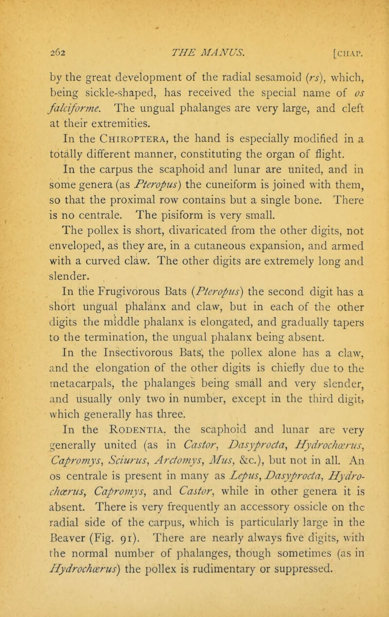 by the great development of the radial sesamoid (ri-), which, being sickle-shaped, has received the special name of os falciforme. The ungual phalanges are very large, and cleft at their extremities. In the Chiroptera, the hand is especially modified in a totally different manner, constituting the organ of flight. In the carpus the scaphoid and lunar are united, and in some genera (as Pteropus) the cuneiform is joined with them, so that the proximal row contains but a single bone. There is no centrale. The pisiform is very small. The poUex is short, divaricated from the other digits, not enveloped, as they are, in a cutaneous expansion, and armed with a curved claw. The other digits are extremely long and slender. In the Frugivorous Bats {Pteropus) the second digit has a short ungual phalanx and claw, but in each of the other digits the middle phalanx is elongated, and gradually tapers to the termination, the ungual phalanx being absent. In the Insectivorous Bats, the pollex alone has a claw, and the elongation of the other digits is chiefly due to the metacarpals, the phalanges being small and very slender, and usually only two in number, except in the third digit, which generally has three. In the RoDENTiA. the scaphoid and lunar are very generally united (as in Casior, Dasyprocta, Hydroc/icerus, Capromys, Sciurus, Arctomys, Mus, &c.), but not in all. An OS centrale is present in many as Lepus, Dasyprocta, Hydro- chcerus, Capromys, and Castor, while in other genera it is absent. There is very frequently an accessory ossicle on the radial side of the carpus, which is particularly large in the Beaver (Fig. 91). There are nearly always five digits, \\\th the normal number of phalanges, though sometimes (as in Hydrochocrus) the pollex is rudimentary or suppressed.