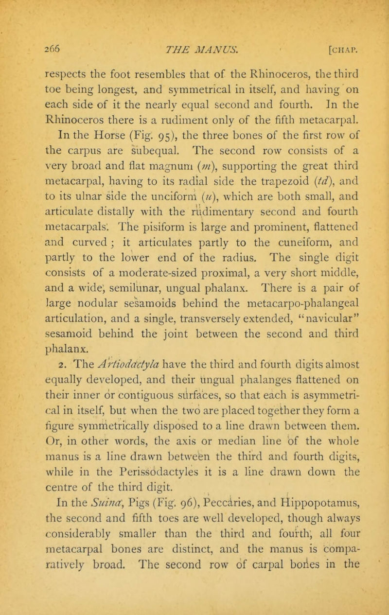 respects the foot resembles that of the Rhinoceros, the third toe being longest, and symmetrical in itself, and having on each side of it the nearly equal second and fourth. ]n the Rhinoceros there is a rudiment only of the fifth metacarpal. In the Horse (Fig. 95), the three bones of the first row of the carpus are subequal. The second row consists of a \ ery broad and flat magnum (w), supporting the great third metacarpal, having to its radial side the trapezoid {td), and to its ulnar side the unciform [u), which are both small, and articulate distally with the rudimentary second and fourth metacarpals. The pisiform is large and prominent, flattened and curved ; it articulates partly to the cuneiform, and partly to the lower end of the radius. The single digit consists of a moderate-sized proximal, a very short middle, and a wide^ semilunar, ungual phalanx. There is a pair of large nodular sesamoids behind the metacarpo-phalangeal articulation, and a single, transversely extended, navicular sesamoid behind the joint between the second and third phalanx. 2. The Artiodddyla have the third and fourth digits almost equally developed, and their ungual phalanges flattened on their inner or contiguous siirfaces, so that each is asymmetri- cal in itself, but when the two are placed together they form a figure symnietrically disposed to a line drawn between them. Or, in other words, the axis or median line 'of the whole manus is a line drawn betwefen the third and fourth digits, while in the Perissodactyles it is a line drawn down the centre of the third digit. In the Suitia, Pigs (Fig. 96), Peccaries, and Hippopotamus, the second and fifth toes are well developed, though always considerably smaller than the third and fourth, all four metacarpal bones are distinct, and the manus is compa- ratively broad. The second row of carpal bories in the