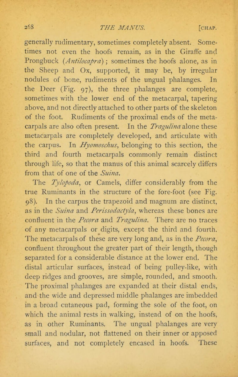 generally rudimentary, sometimes completely absent. Some- times not even the hoofs remain, as in the Giraffe and Prongbuck {Antilocapra) \ sometimes the hoofs alone, as in the Sheep and Ox, supported, it may be, by irregular nodules of bone, rudiments of the ungual phalanges. In the Deer (Fig. 97), the three phalanges are complete, sometimes with the lower end of the metacarpal, tapering above, and not directly attached to other parts of the skeleton of the foot. Rudiments of the proximal ends of the meta- carpals are also often present. In the Tragulina 2\qx\q. these metacarpals are completely developed, and articulate with the carpus. In Ifyomoschus, belonging to this section, the third and fourth metacarpals commonly remain distinct through life, so that the manus of this animal scarcely differs from that of one of the Suiria. The Tylopoda, or Camels, differ considerably from the true Ruminants in the structure of the fore-foot (see Fig. 98). In the carpus the trapezoid and magnum are distinct, as in the Suina and Perissodaciyla, whereas these bones are confluent in the Pecora and Tragulina. There are no traces of any metacarpals or digits, except the third and fourth. The metacarpals of these are very long and, as in the Pecora, confluent throughout the greater part of their length, though separated for a considerable distance at the lower end. The distal articular surfaces, instead of being pulley-like, with deep ridges and grooves, are simple, rounded, and smooth. The proximal phalanges are expanded at their distal ends, and the wide and depressed middle phalanges are imbedded in a broad cutaneous pad, forming the sole of the foot, on which the animal rests in walking, instead of on the hoofs, as in other Ruminants. The ungual phalanges are very small and nodular, not flattened on their inner or apposed surfaces, and not completely encased in hoofs. These