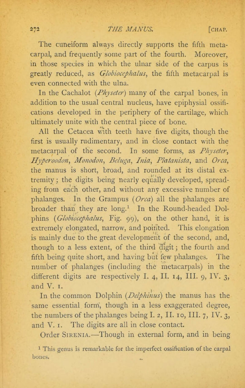 The cuneiform always directly supports the fifth meta- carpal, and frequently some part of the fourth. Moreover, in tlrose species in which the ulnar side of the carpus is greatly reduced, as Globiocephalus, the fifth metacarpal is even connected with the ulna. In the Cachalot {Physeter) many of the carpal bones, in addition to the usual central nucleus, have epiphysial ossifi- cations developed in the periphery of the cartilage, which ultimately unite with the central piece of bone. All the Cetacea with teeth have five digits, though the first is usually rudimentary, and in close contact with the metacarpal of the second. In some forms, as P/iysete}', Hyperoodofi, Monodon, Beluga, Inia, Flaianista, and Orca, the manus is short, broad, and rounded at its distal ex- tremity ; the digits being nearly equally developed, spread- ing from each other, and without any excessive number of phalanges. In the Grampus {Orca) all the phalanges are broader than they are long.^ In the Round-headed Dol- phins {Globiocephalus, Fig. 99), on the other hand, it is extremely elongated, narrow, and poiiited. This elongation is mainly due to the great development of the second, and, though to a less extent, of the third digit; the fourth and fifth being quite short, and having but few phalanges. The number of phalanges (including the metacarpals) in the different digits are respectively I. 4, II. 14, III. 9, IV. 3, and V. I. In the common Dolphin {Delphinus) the manus has the same essential form, though in a less exaggerated degree, the numbers of the phalanges being I. 2, II. 10, III. 7, IV. 3, and V. I. The digits are all in close contact. Order Sirenia.—Though in external form, and in being 1 This genus is remarkable for the imperfect ossification of the carpal bones.