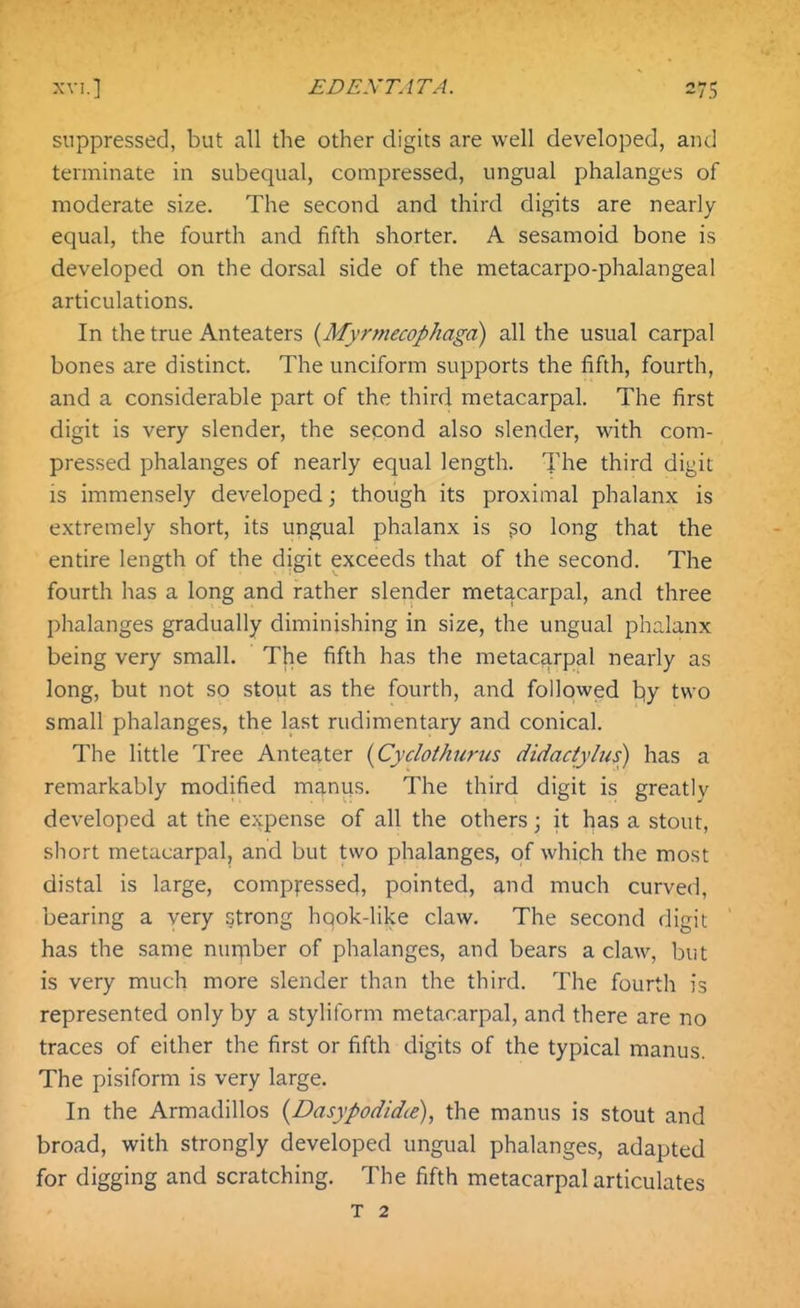 suppressed, but all the other digits are well developed, and terminate in subequal, compressed, ungual phalanges of moderate size. The second and third digits are nearly equal, the fourth and fifth shorter. A sesamoid bone is developed on the dorsal side of the metacarpo-phalangeal articulations. In the true Anteaters {Myrmecophaga) all the usual carpal bones are distinct. The unciform supports the fifth, fourth, and a considerable part of the third metacarpal. The first digit is very slender, the second also slender, with com- pressed phalanges of nearly equal length. The third digit is immensely developed \ though its proximal phalanx is extremely short, its ungual phalanx is go long that the entire length of the digit exceeds that of the second. The fourth has a long and rather slender metacarpal, and three phalanges gradually diminishing in size, the ungual phalanx being very small. The fifth has the metacarpal nearly as long, but not so stout as the fourth, and followed tiy two small phalanges, the last rudimentary and conical. The little Tree Anteater (Cyclothurus didadyhis) has a remarkably modified manus. The third digit is greatly developed at the expense of all the others; it has a stout, short metacarpal, and but two phalanges, of which the most distal is large, compressed, pointed, and much curved, bearing a very strong hqok-like claw. The second digit has the same nurpber of phalanges, and bears a claw, but is very much more slender than the third. The fourth is represented only by a styliform metacarpal, and there are no traces of either the first or fifth digits of the typical manus. The pisiform is very large. In the Armadillos {Dasypodidce), the manus is stout and broad, with strongly developed ungual phalanges, adapted for digging and scratching. The fifth metacarpal articulates
