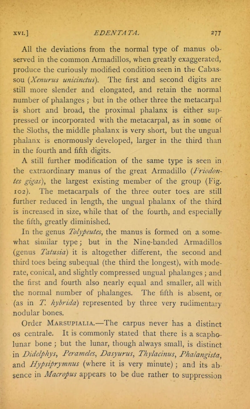 All the deviations from the normal type of manus ob- served in the common Armadillos, when greatly exaggerated, produce the curiously modified condition seen in the Cabas- sou {Xentirus unicincttis). The first and second digits are still more slender and elongated, and retain the normal number of phalanges ; but in the other three the metacarpal is short and broad, the proximal phalanx is either sup- pressed or incorporated with the metacarpal, as in some of the Sloths, the middle phalanx is very short, but the ungual phalanx is enormously developed, larger in the third than in the fourth and fifth digits. A still further modification of the same type is seen in the extraordinary manus of the great Armadillo (Friodon- tes gigas), the largest existing member of the group (Fig. 102). The metacarpals of the three outer toes are still further reduced in length, the ungual phalanx of the third is increased in size, while that of the fourth, and especially the fifth, greatly diminished. In the genus Tolypeutes, the manus is formed on a some- what similar type; but in the Nine-banded Armadillos (genus Tatusia) it is altogether different, the second and third toes being subequal (the third the longest), wiih mode- rate, conical, and slightly compressed ungual phalanges ; and the first and fourth also nearly equal and smaller, all with the normal number of phalanges. The fifth is absent, or (as in T. hybrida) represented by three very rudimentary nodular bones. Order Marsupialia.—The carpus never has a distinct OS centrale. It is commonly stated that there is a scapho- lunar bone ; but the lunar, though always small, is distinct in Diddphys, Perameles, Dasyurns, Thylacintis, Phalangista, and Hypsiprymmis (where it is very minute); and its ab- sence in Macropus appears to be due rather to suppression