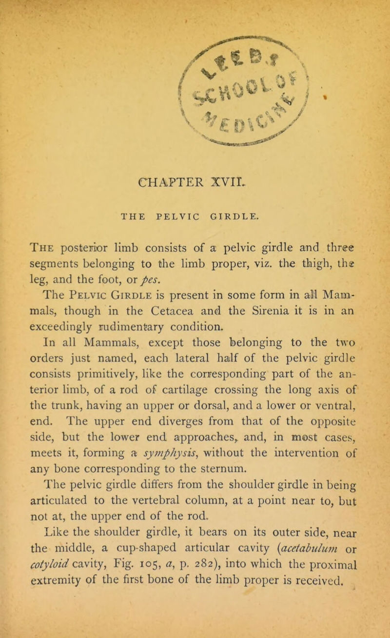 THE PELVIC GIRDLE. The posterior limb consists of a pelvic girdle and three segments belonging to the limb proper, viz. the thigh, ths leg, and the foot, or pes. The Pelvic Girdle is present in some form in all Mam- mals, though in the Cetacea and the Sirenia it is in an exceedingly rudimentary condition. In all Mammals, except those belonging to the two orders just named, each lateral half of the pelvic girdle consists primitively, like the corresponding part of the an- terior limb, of a rod of cartilage crossing the long axis of the trunk, having an upper or dorsal, and a lower or ventral, end. The upper end diverges from that of the opposite side, but the lower end. approaches, and, in most cases, meets it, forming a symphysis, without the intervention of any bone corresponding to the sternum. The pelvic girdle differs from the shoulder girdle in being articulated to the vertebral column, at a point near to, but not at, the upper end of the rod. Like the shoulder girdle, it bears on its outer side, near the middle, a cup-shaped articular cavity {acetabulum or cotyloid cavity. Fig. 105, a, p. 282), into which the proximal extremity of the first bone of the limb proper is received.